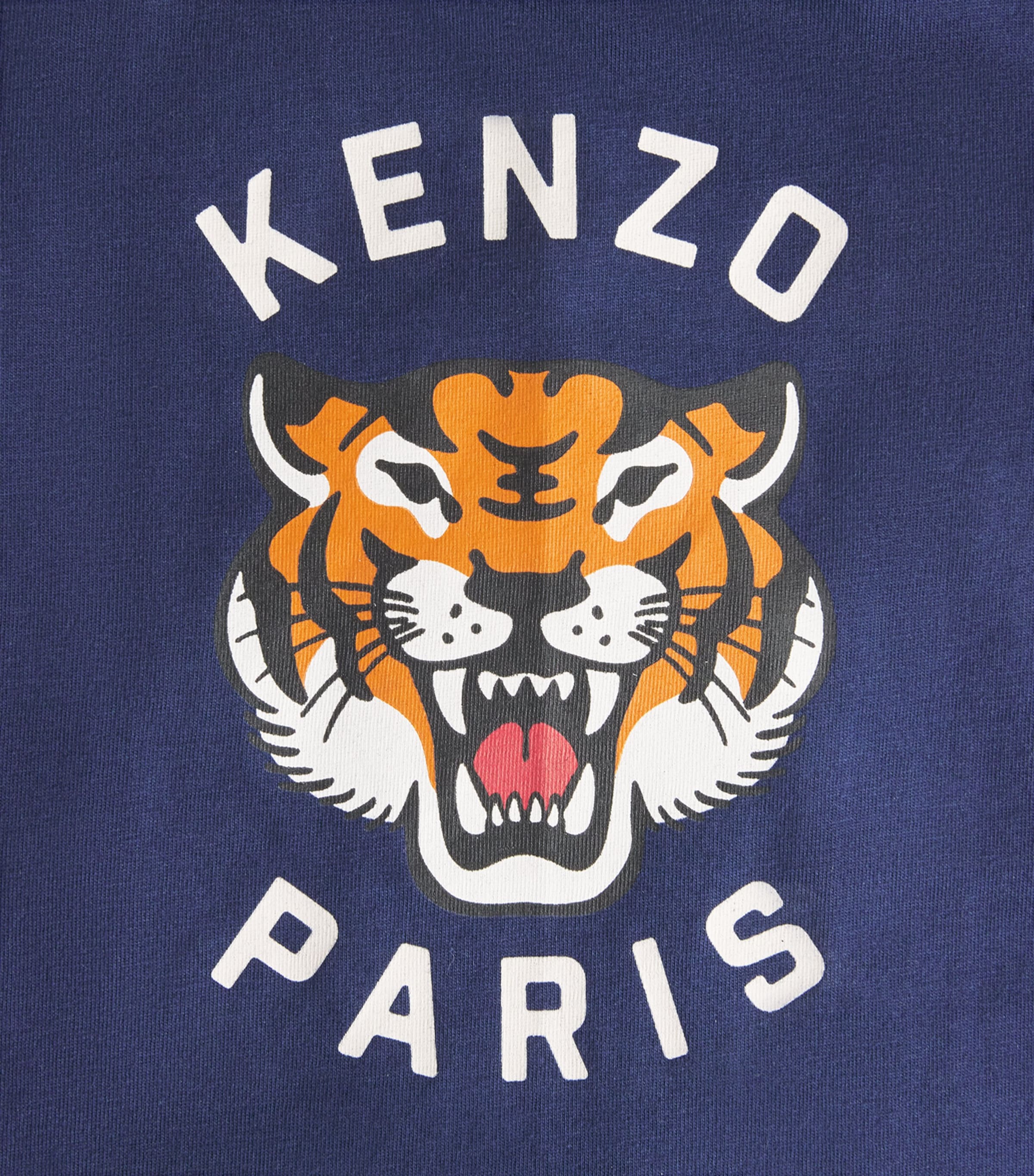 Cotton Logo T-Shirt (6 Months - 4 Years) 84NMEDIEVAL BLUE Image 3