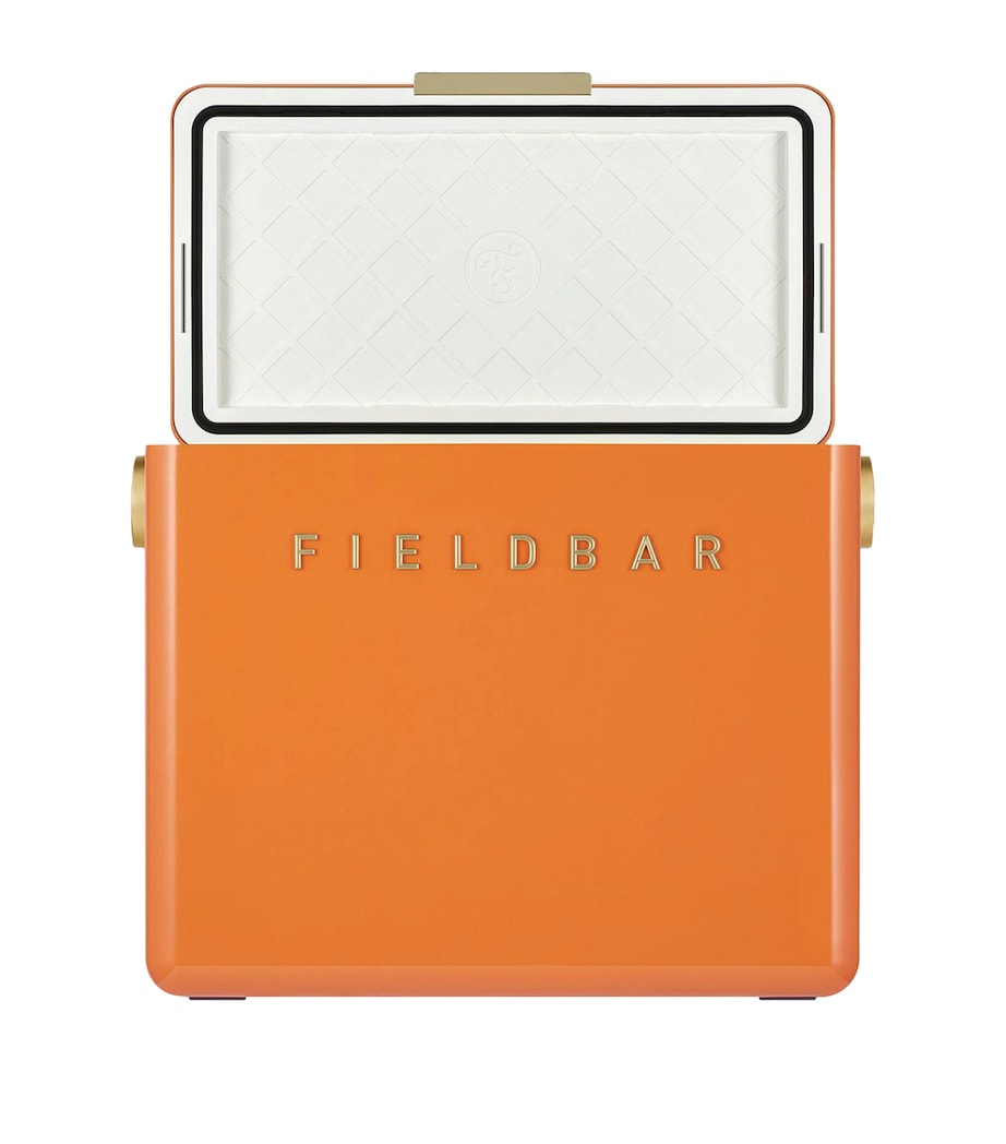 Gin Trunk Cooler Box ORCHARD ORANGE Image 3