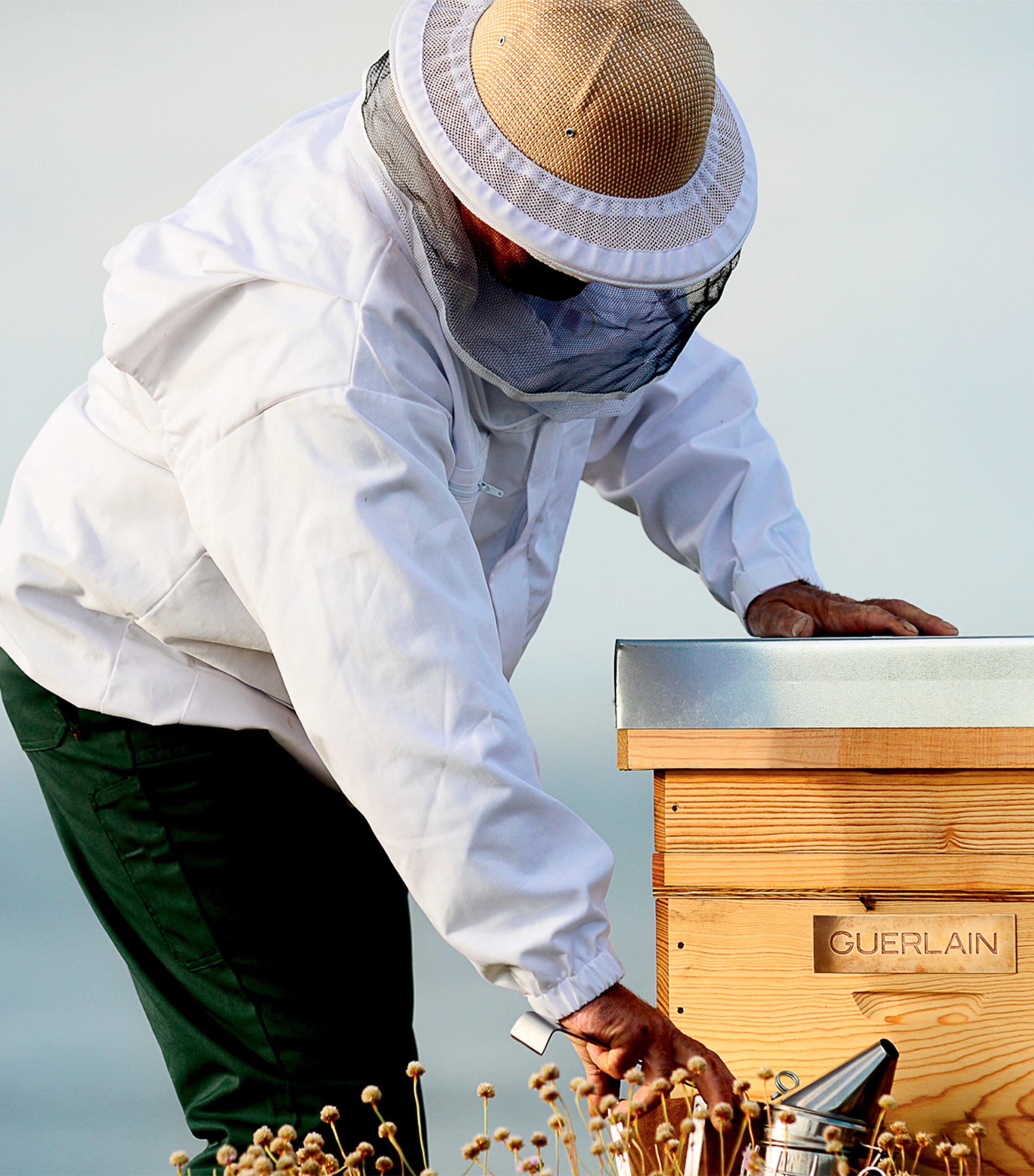 x S.Heart.S Abeille Royale Scalp & Hair Care Brush NO COLOUR Image 5