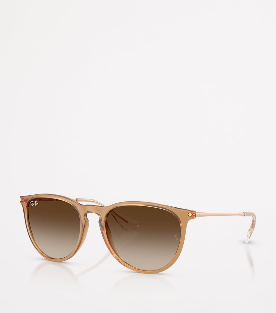 RB4171 Erika Classic Sunglasses 681413 Image 2