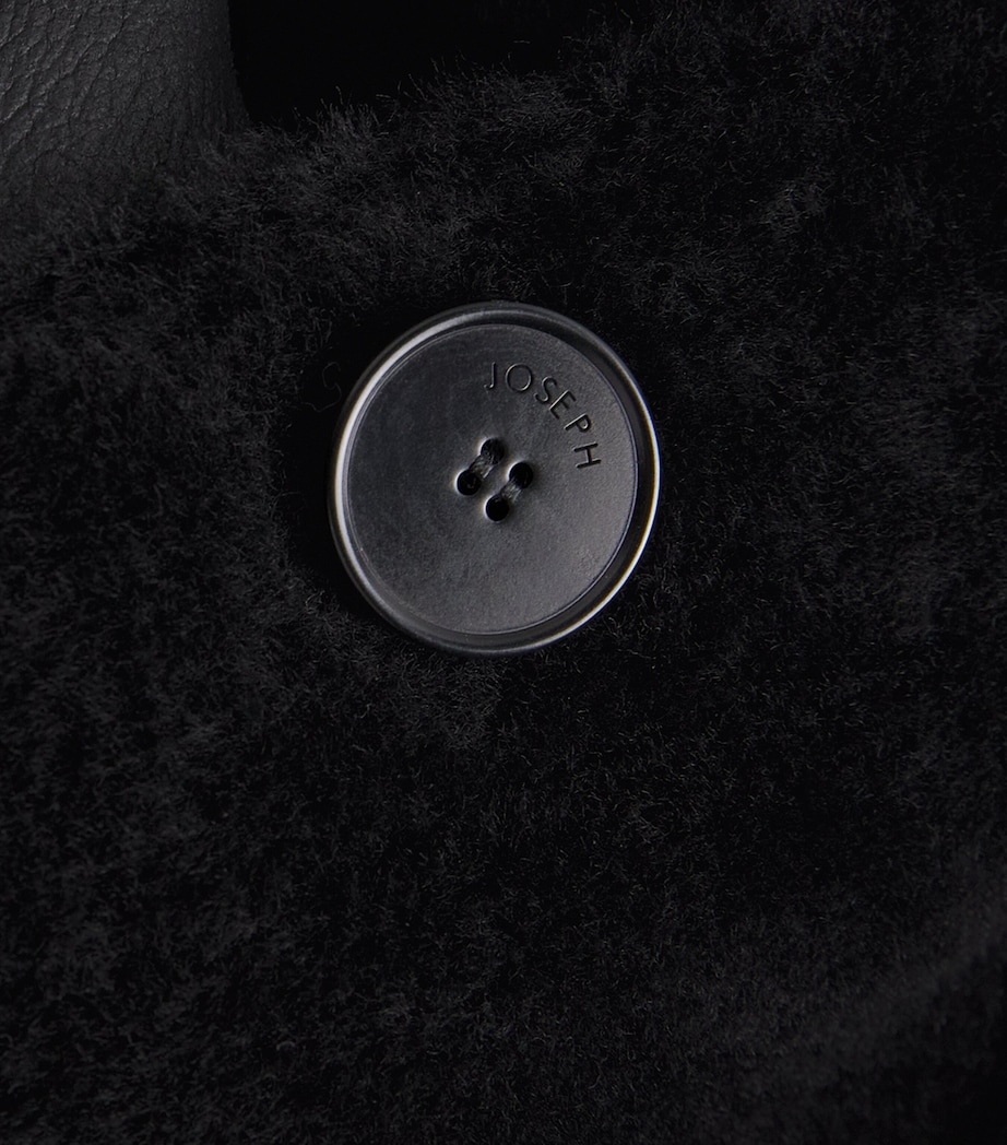 Shearling Reversible Alloway Jacket BLACK Image 5