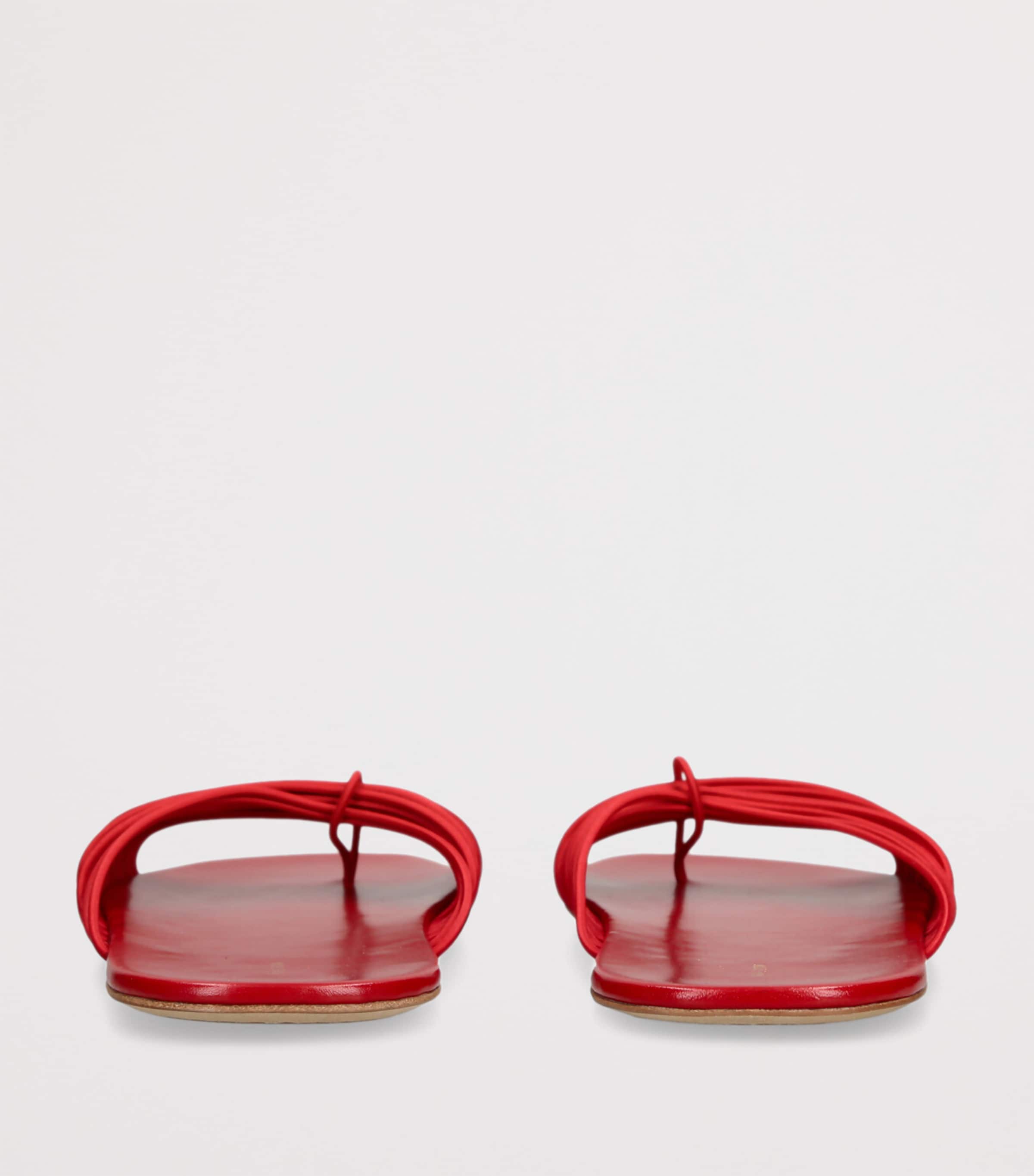 Sara Slides RED Image 2