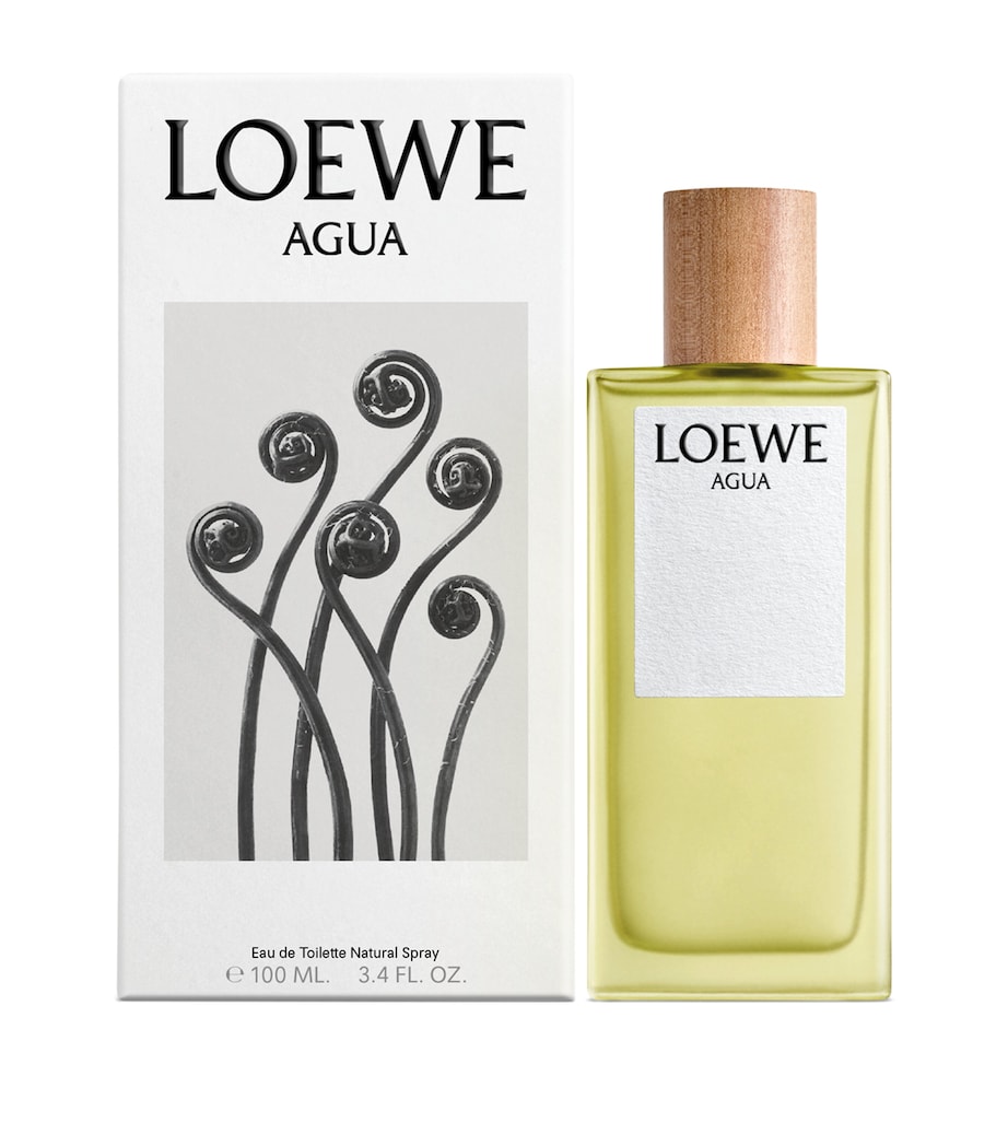 Agua Eau de Toilette (100ml) NO COLOUR Image 2