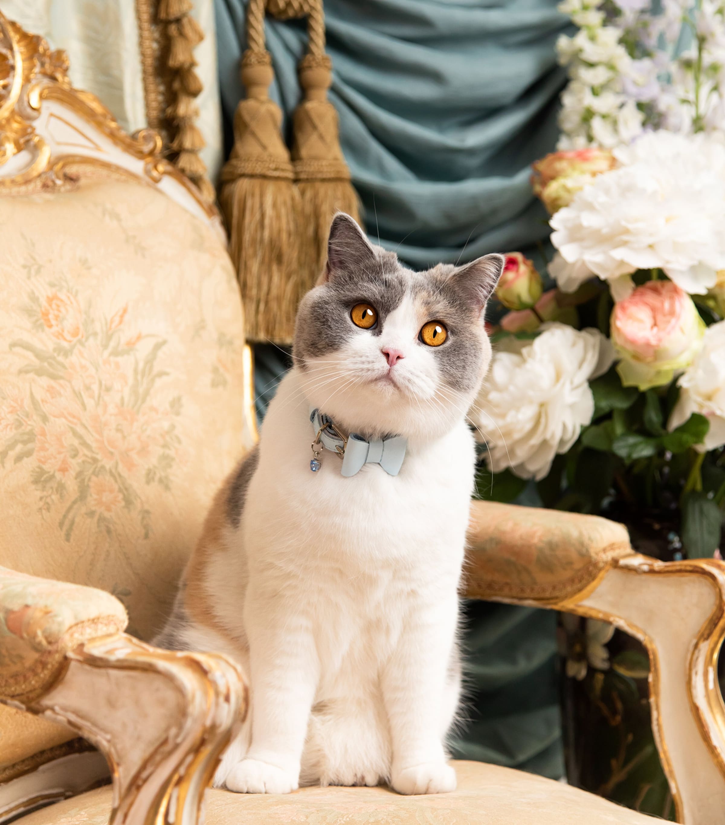 Cheshire & Wain Small Rococo Cat Collar With Bow Blue Image 3