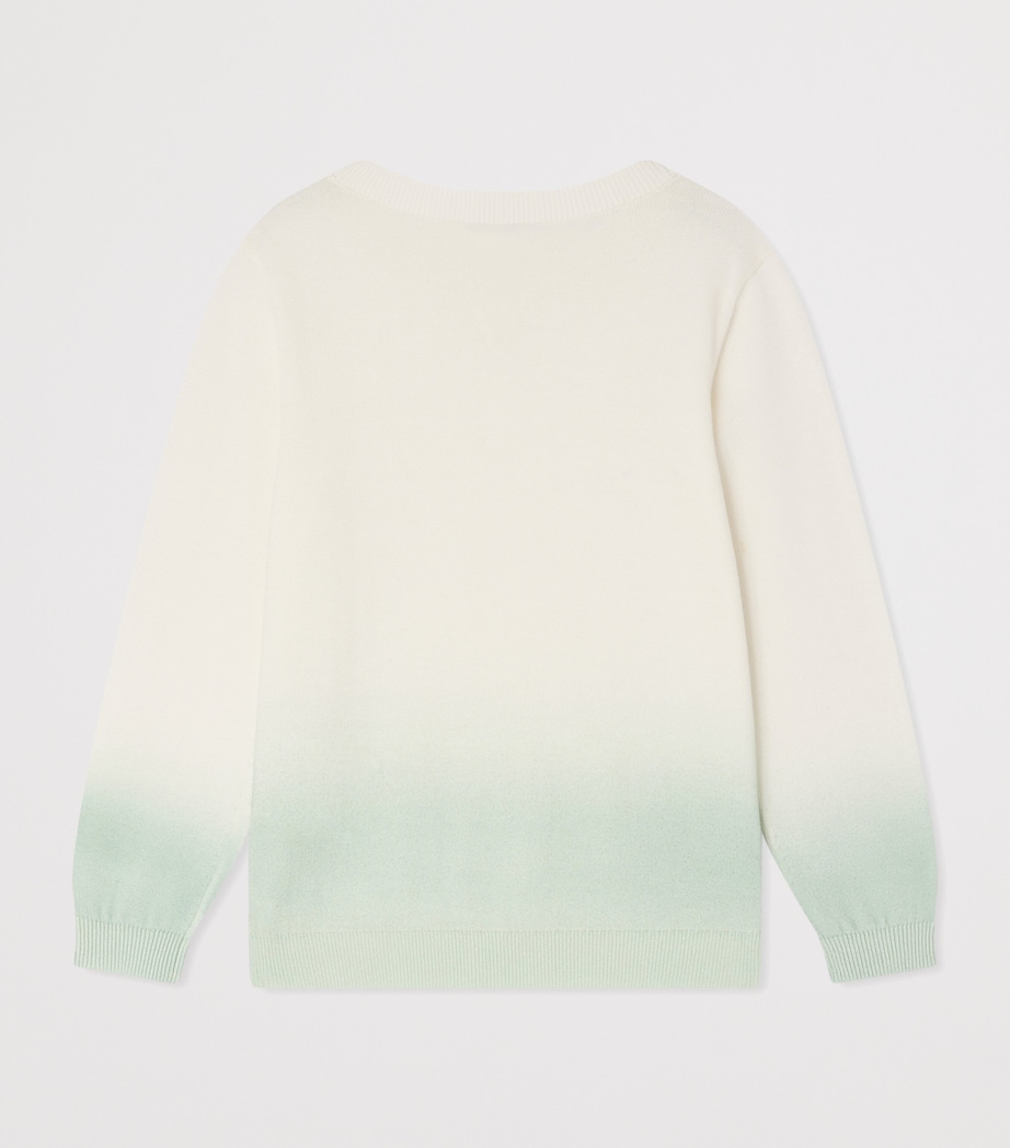 Cotton Tahar Sweater (10-14 Years) UPB VERT CELADON Image 2