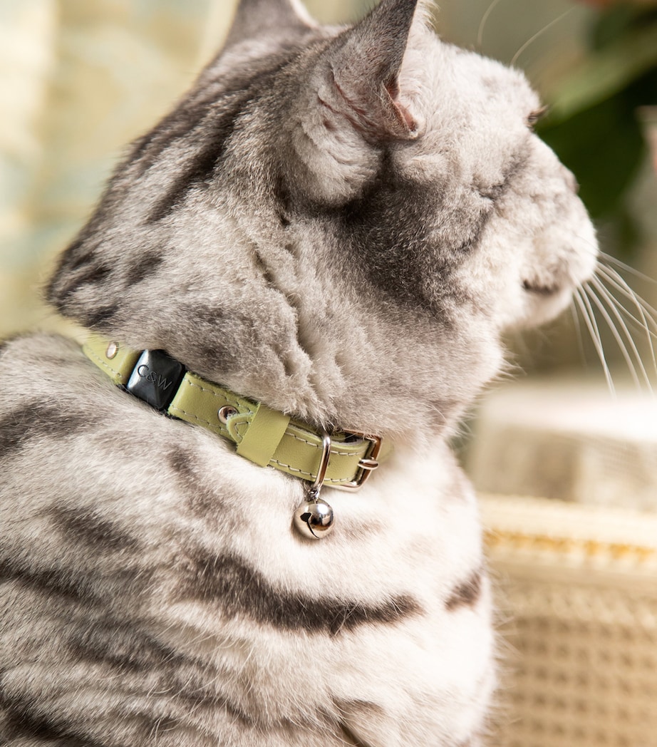 Medium Rococo Cat Collar With Bow GREEN Image 4