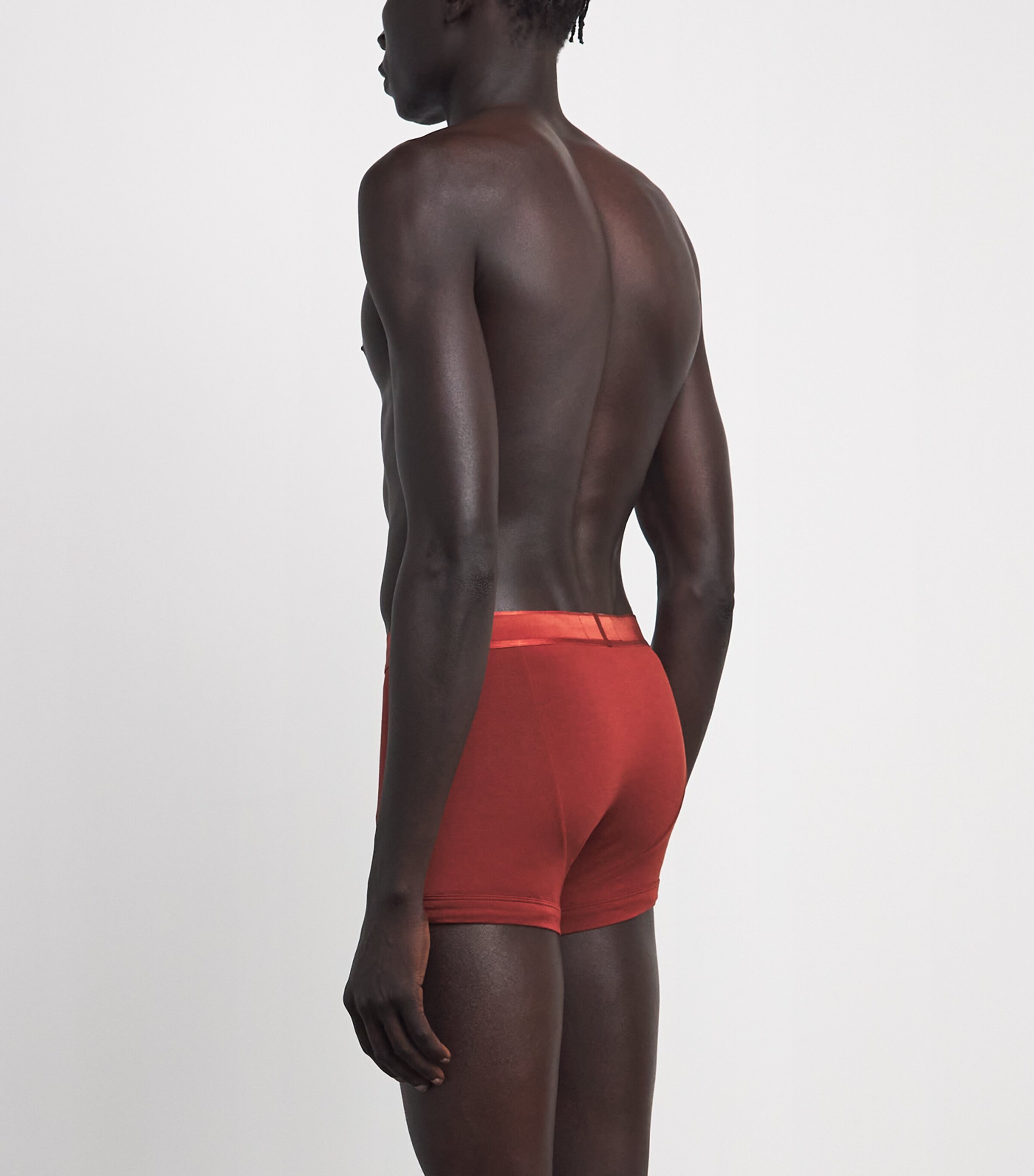 Emporio Armani Mens Modal Logo Trunks Brick Image 3