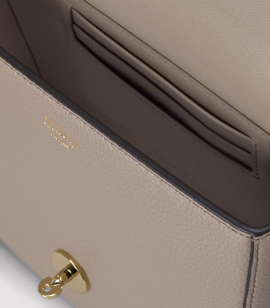 Small Leather Darley Shoulder Bag CASHMERE TAUPE Image 4