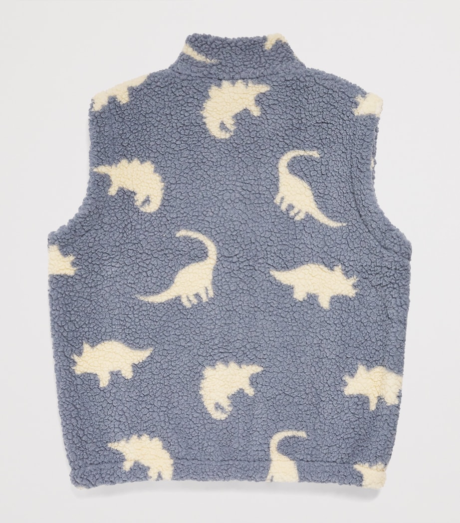 Fleece Jody Gilet (5-10 Years) P10131DINO MIST Image 2