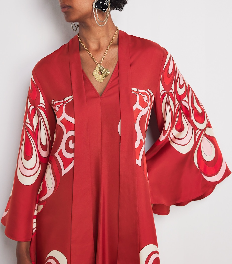 Silk Magnifico Maxi Dress RE02 PHOENIX PLACEE Image 6