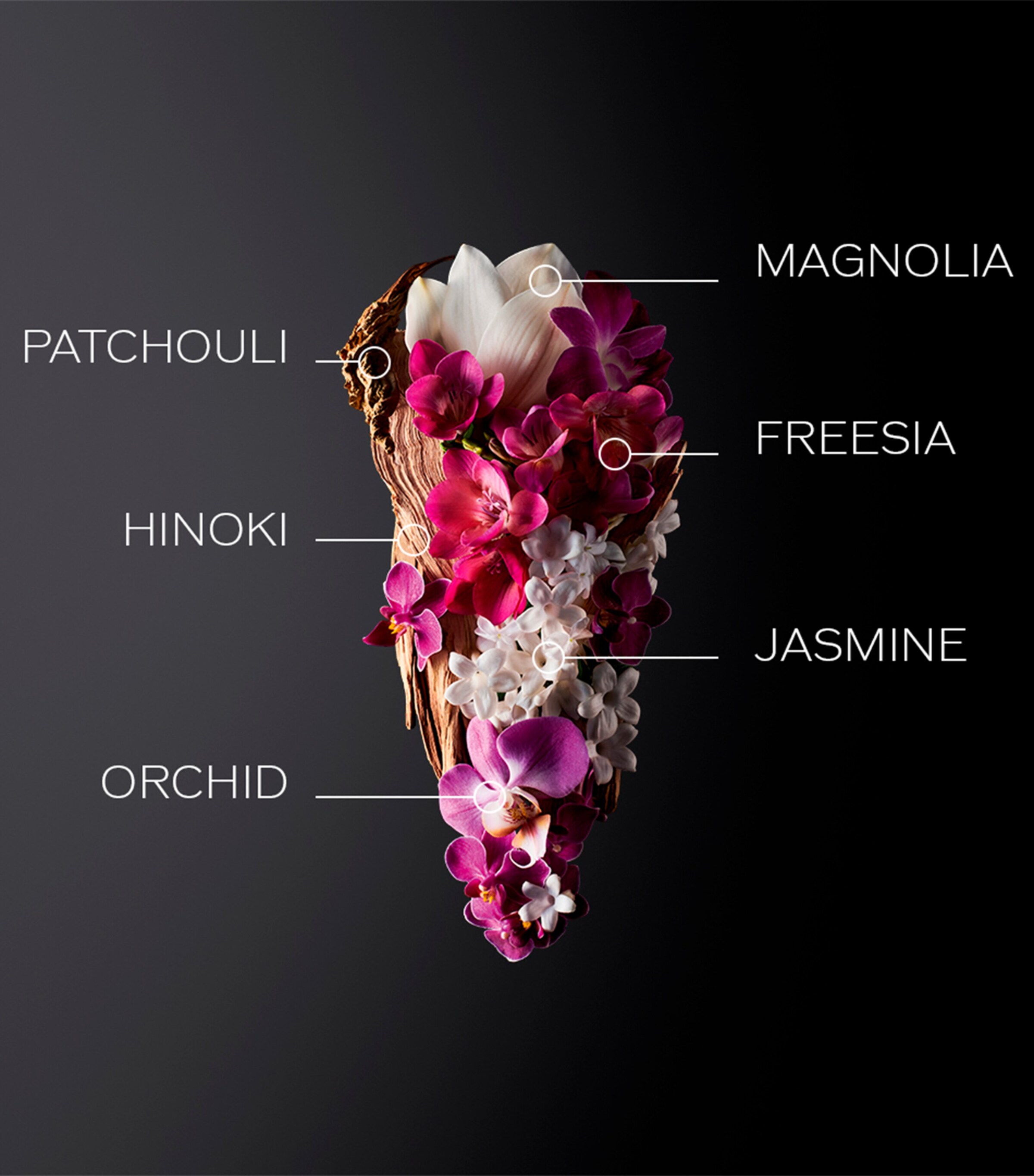 Shiseido Ginza Eau de Parfum (50ml) | Harrods US