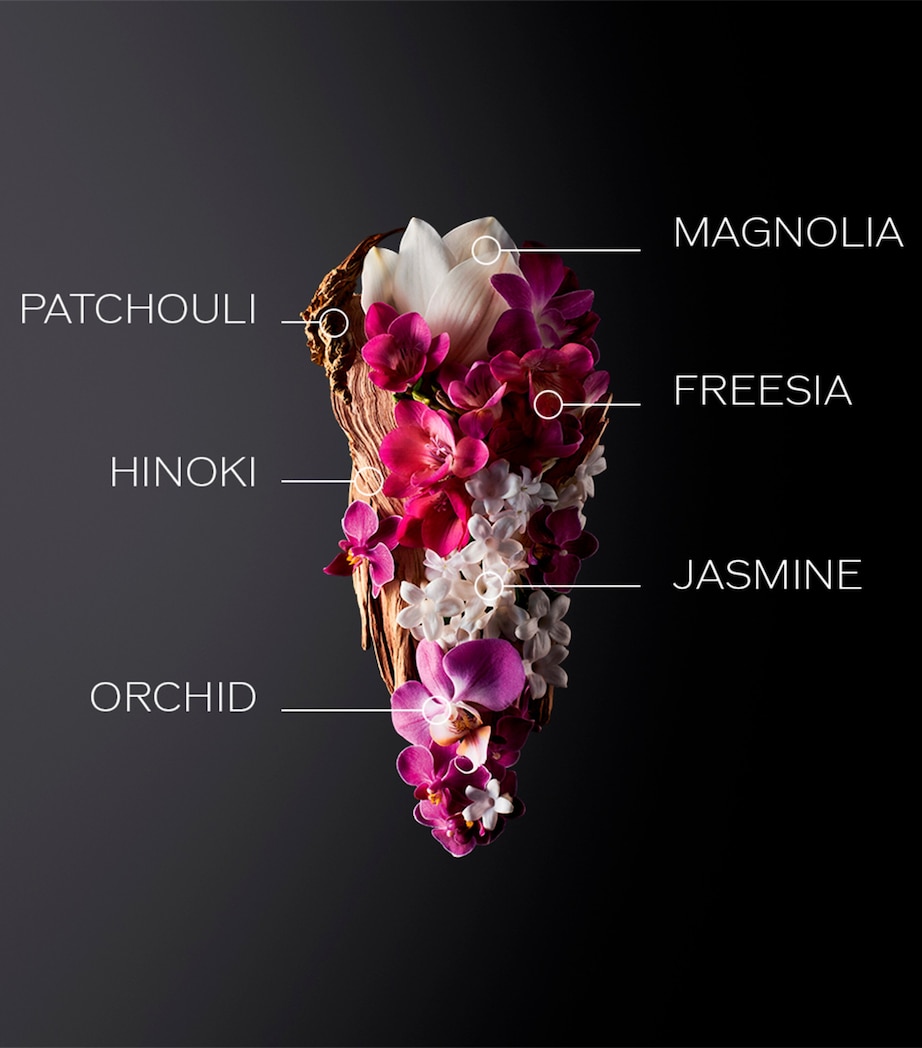 Ginza Eau de Parfum (50ml) NO COLOUR Image 4