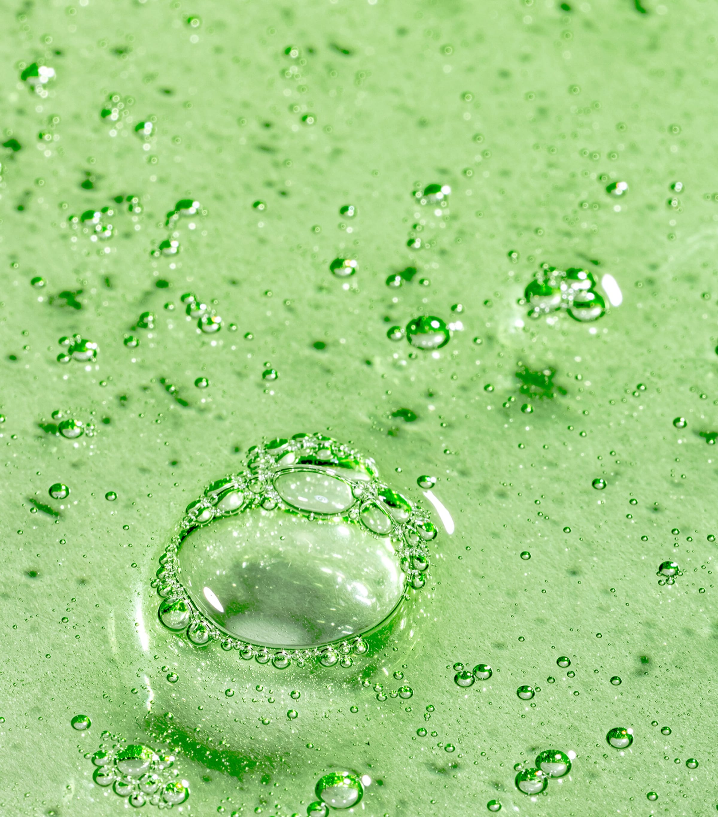 Peppermint Avocado Shampoo (60ml) NO COLOUR Image 2