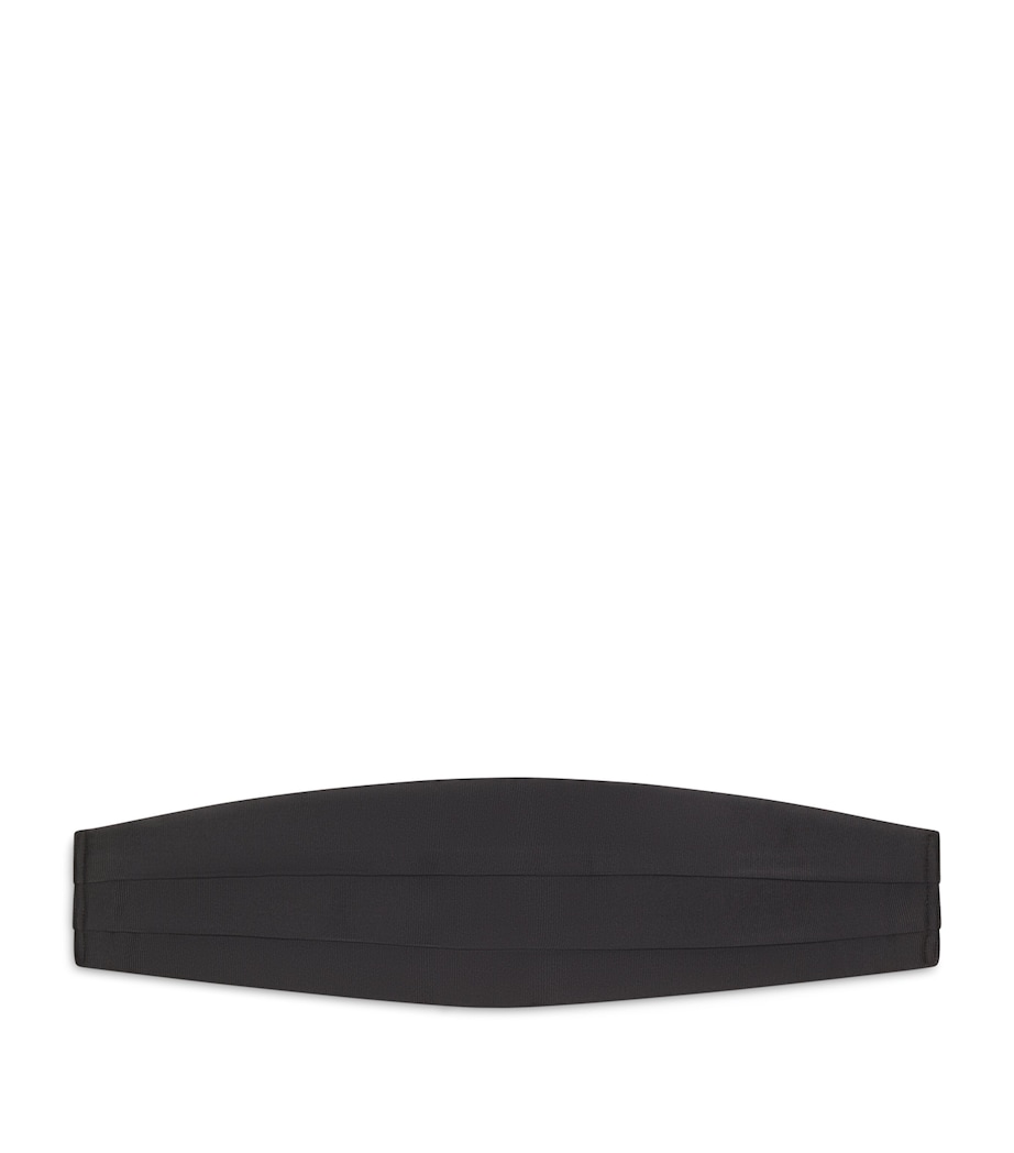 Silk Grosgrain Cummerbund LB999 Image 1