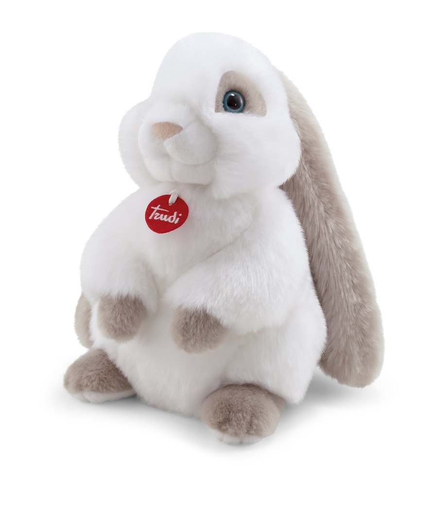 Clemente Rabbit (27cm) MULTI Image 1