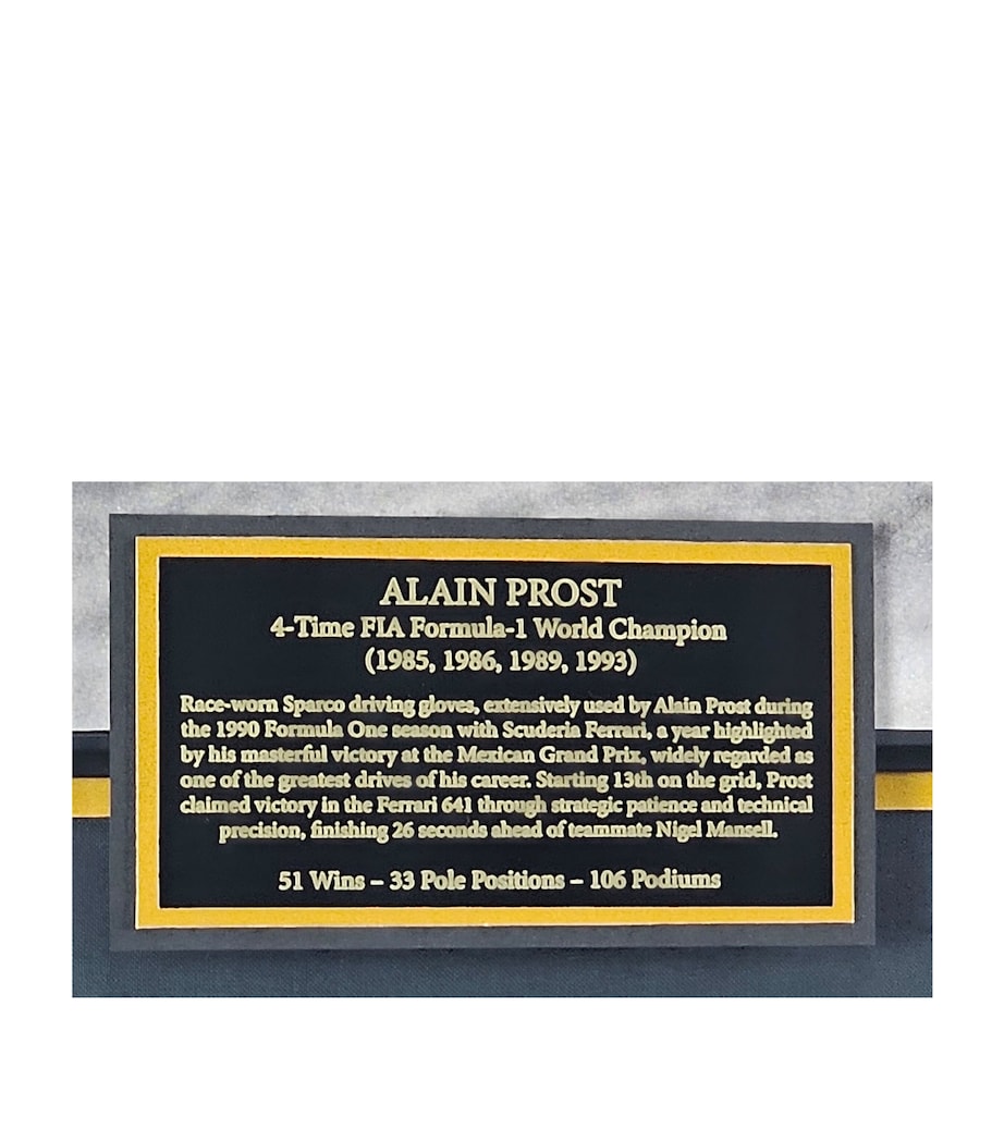 Leipzig Galleries Alain Prost Signed Race-Worn Gloves Framed Display Image 2