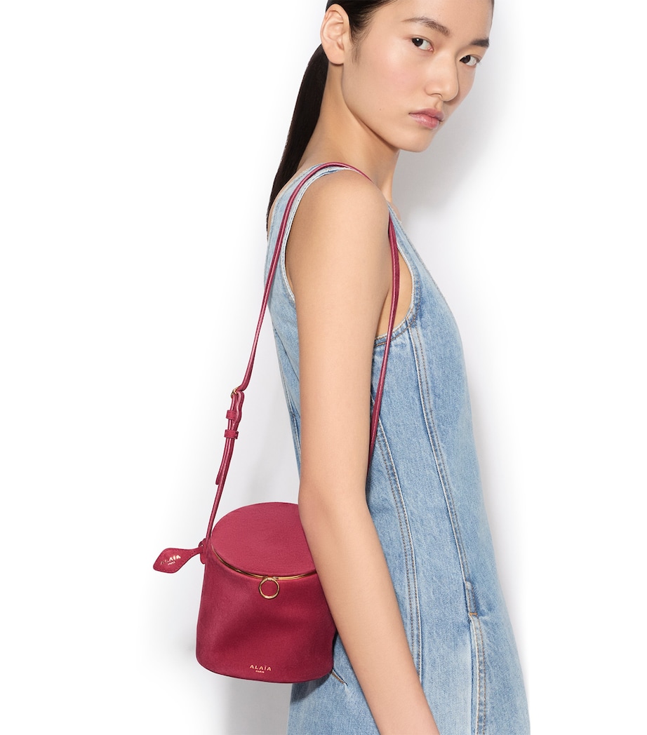 Small Suede La Canette Shoulder Bag CHOCOLAT Image 2