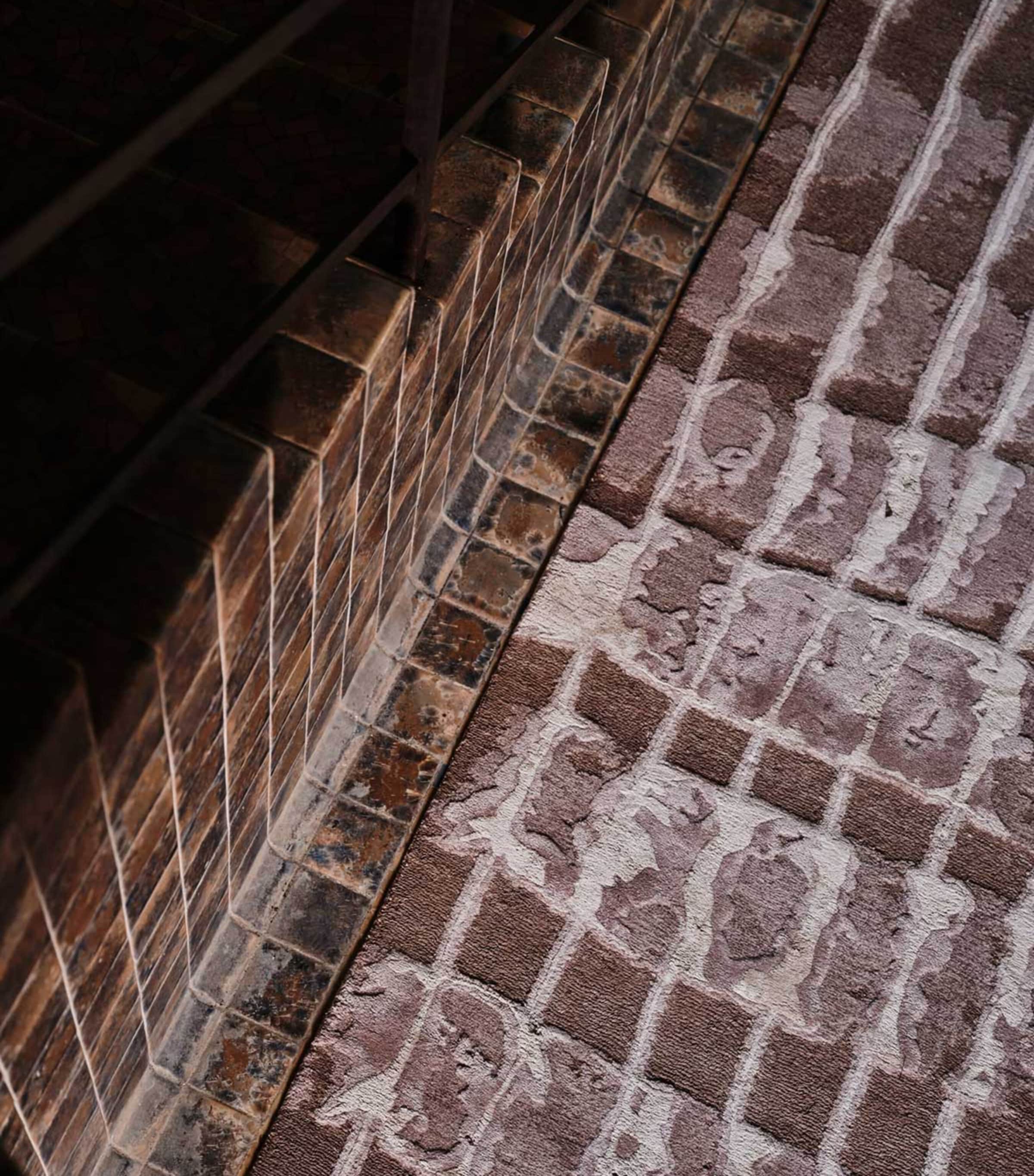 x Kelly Wearstler Elowen Peony Rug (2.44m x 3.05m) NEUTRAL Image 5