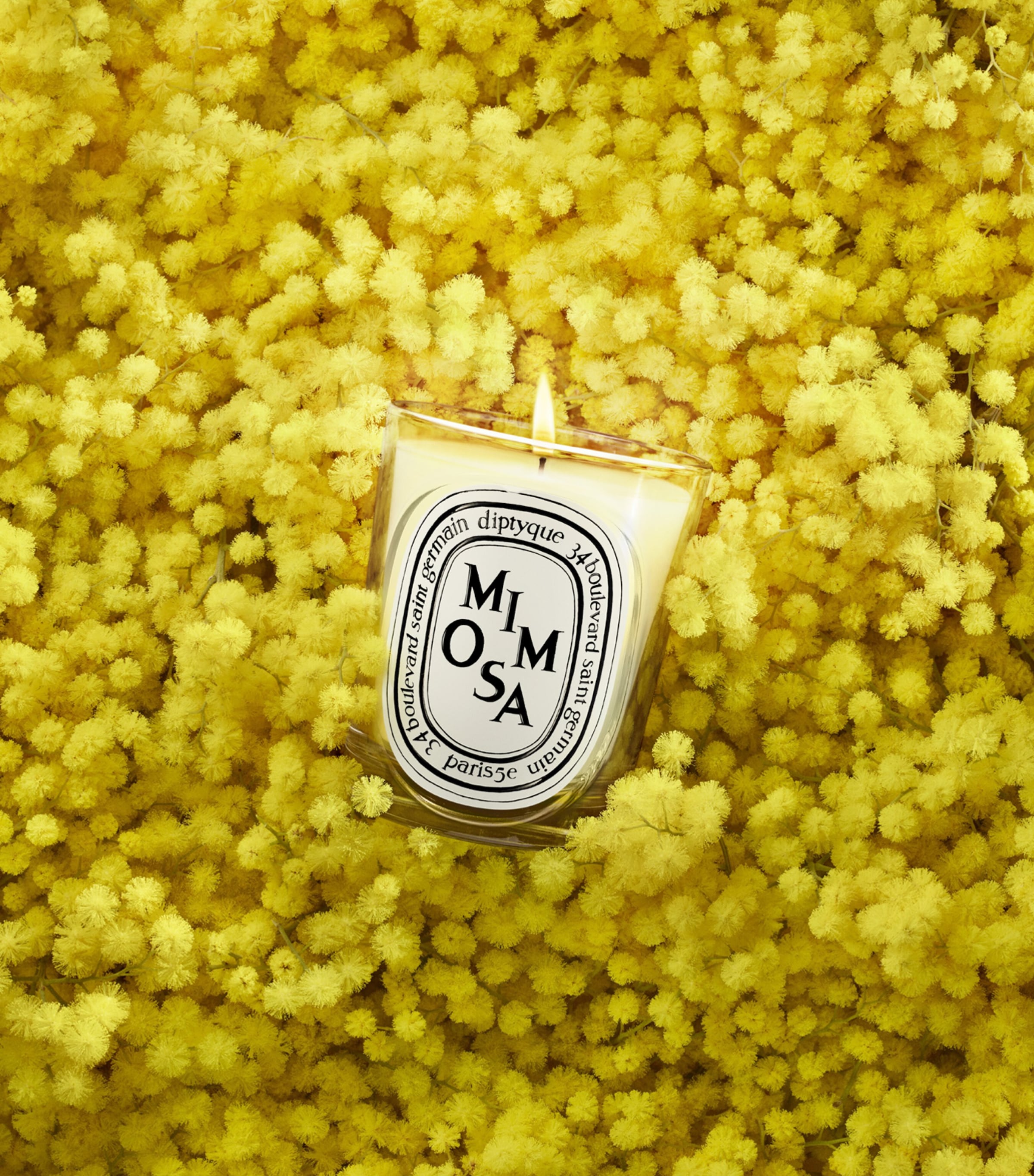 Diptyque Mimosa Candle (190g) Image 3