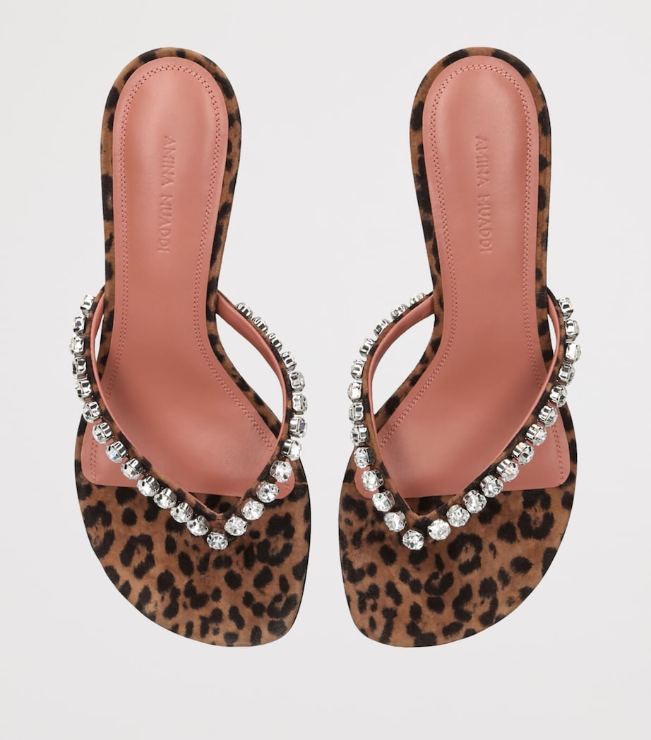 Suede Embellished Gigi Thong Sandals 45 BROWN/OTH Image 4