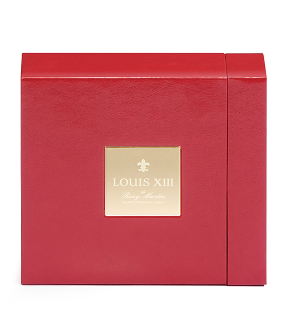 LOUIS XIII Miniature Cognac (5cl) BROWN Image 4