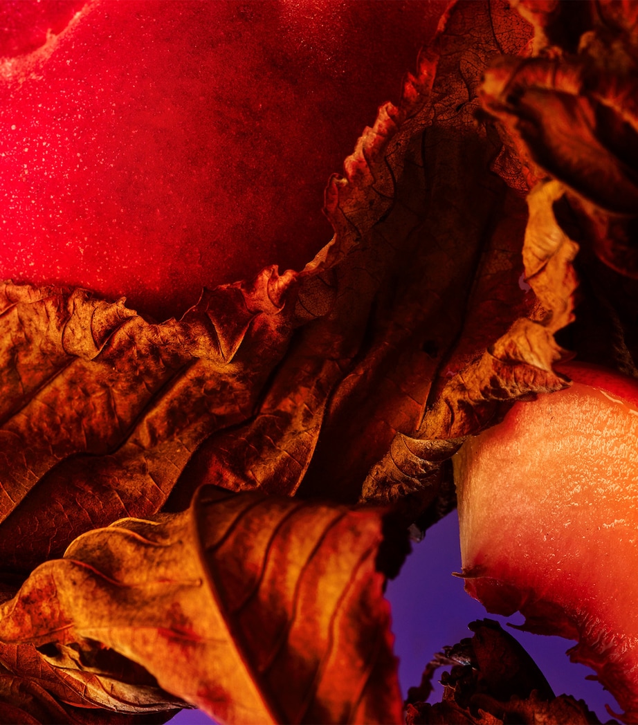 Allegra Fantasia Veneta Eau de Parfum (100ml) NO COLOUR Image 6