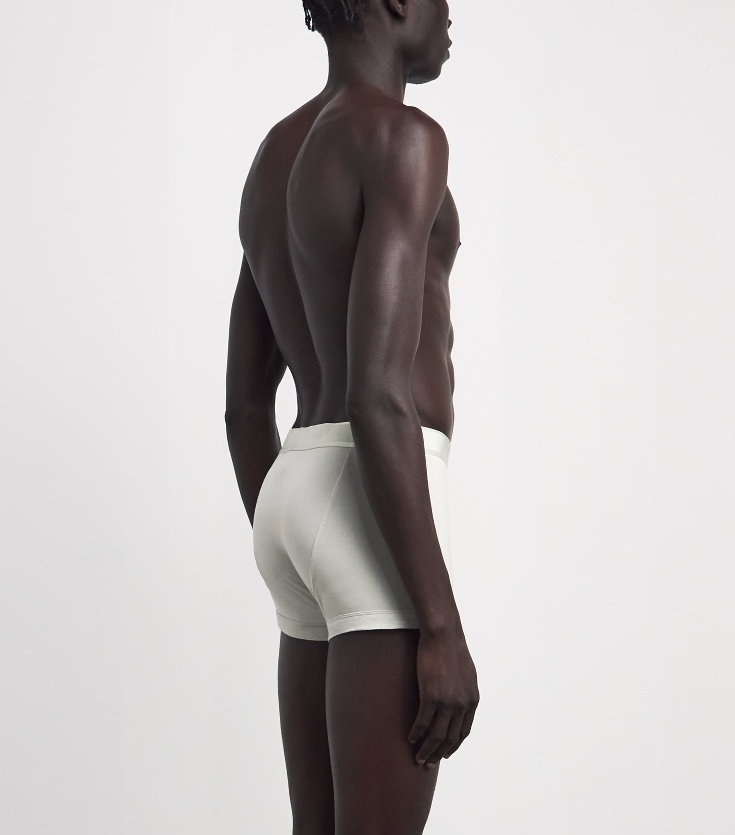 Emporio Armani Mens Modal Logo Trunks Mineral Image 3