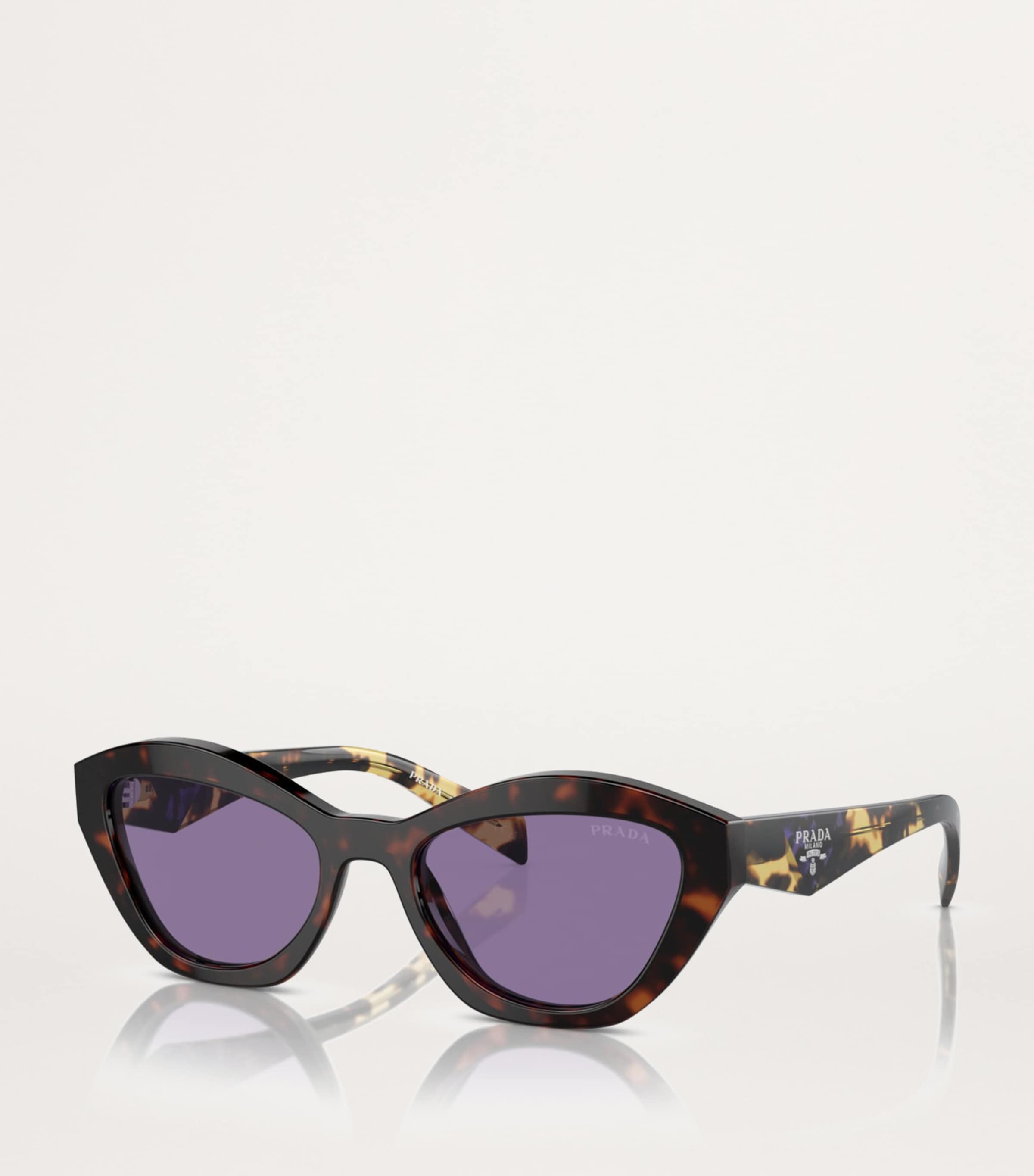 Tortoiseshell Cat-Eye Sunglasses 17N50B Image 2