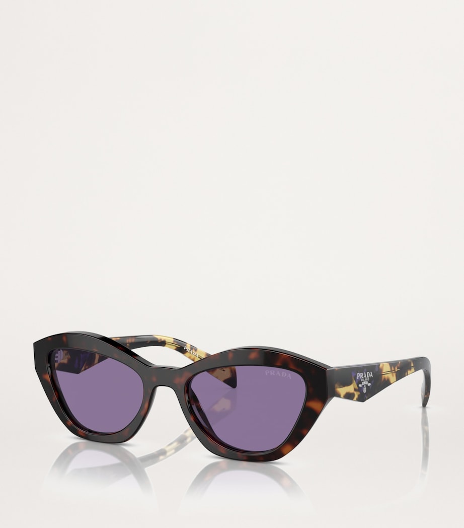 Tortoiseshell Cat-Eye Sunglasses 17N50B Image 2
