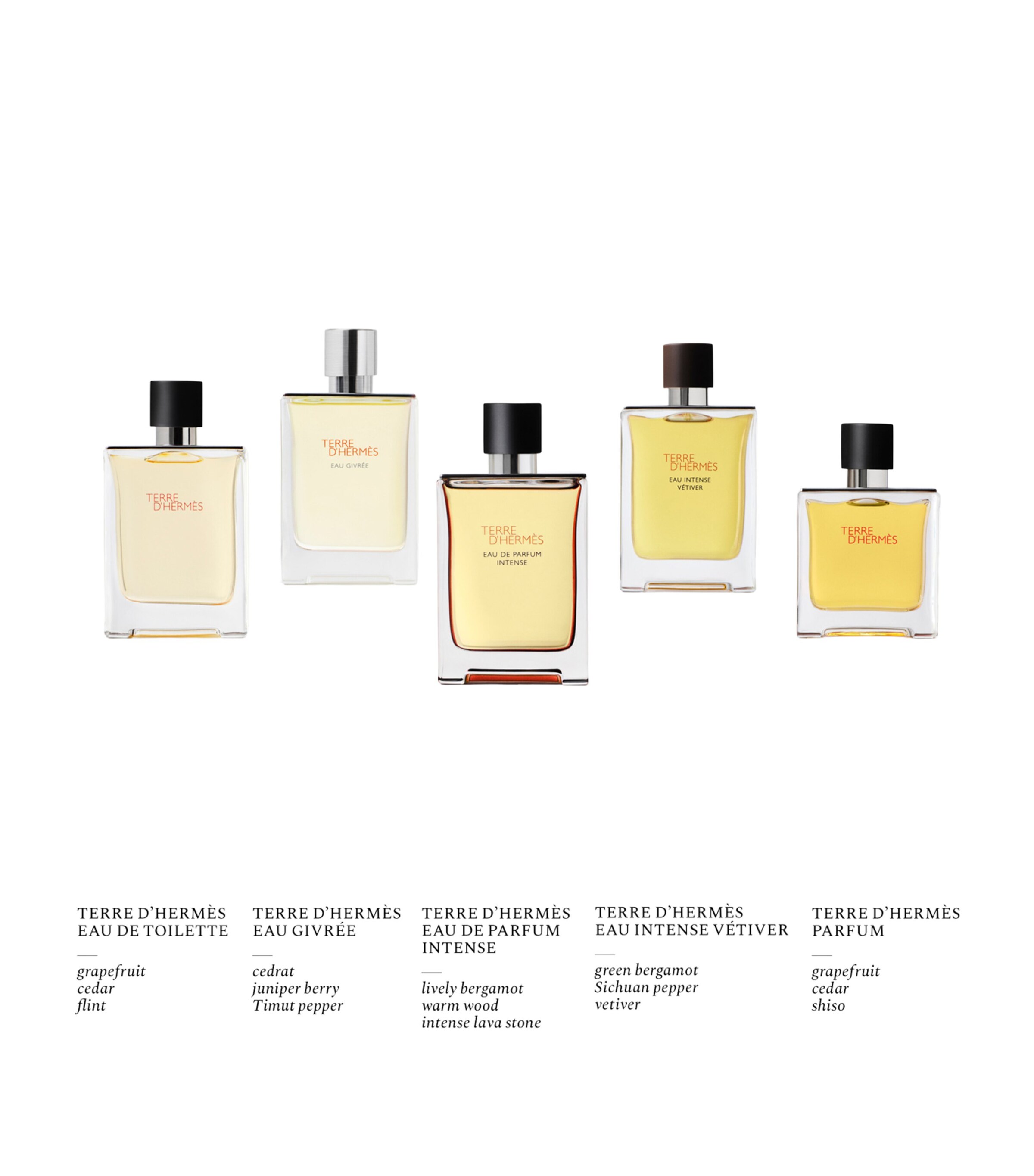 Terre d’Hermès Eau Givrée Eau de Parfum (100ml) NO COLOUR Image 8