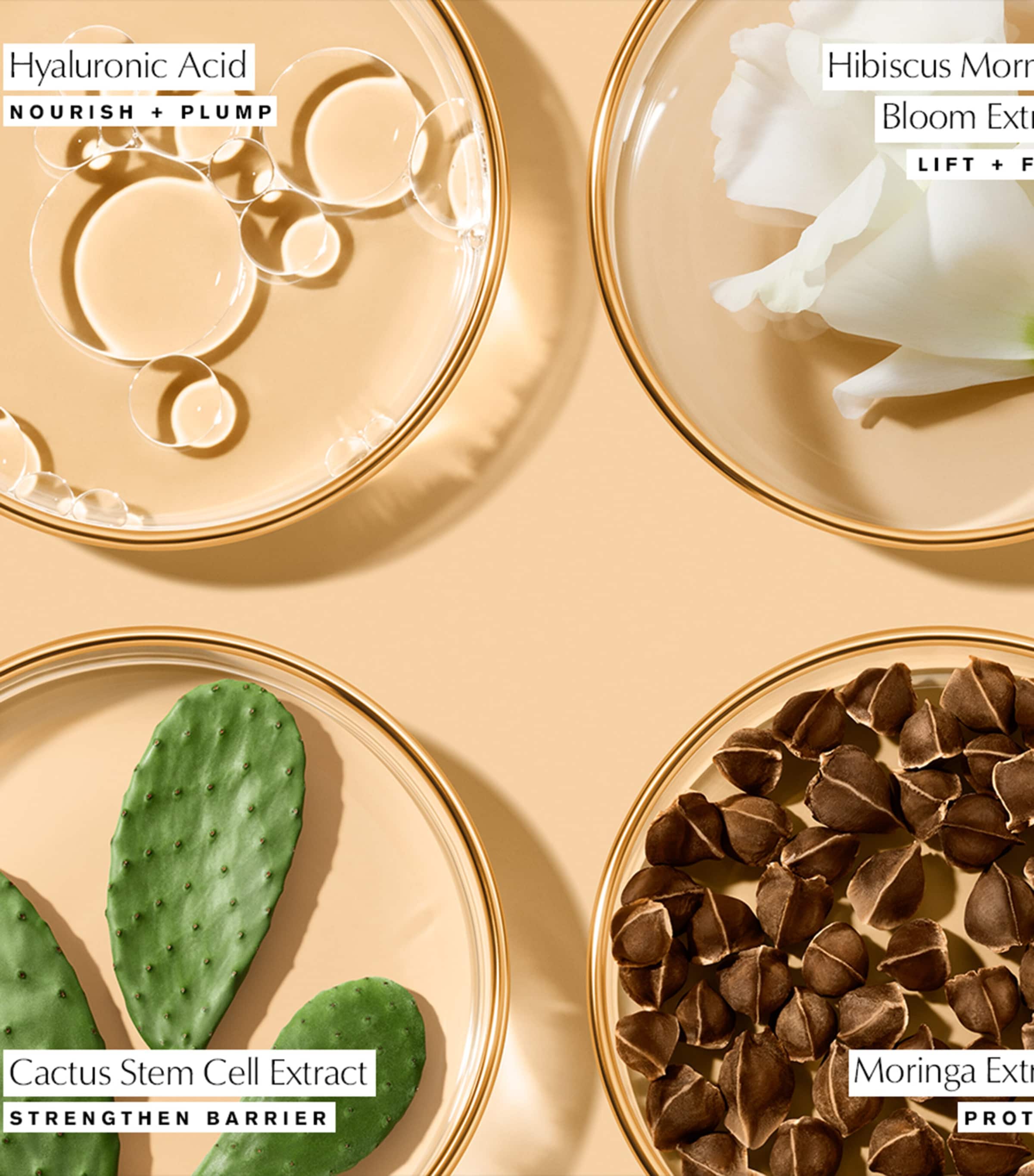 Revitalizing Supreme+ Youth Power Eye Balm (15ml) NO COLOUR Image 2