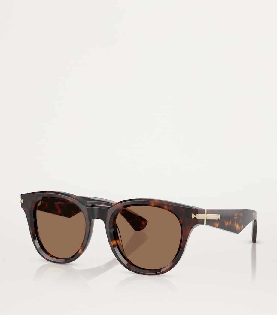 Acetate Round Sunglasses 300273 Image 2