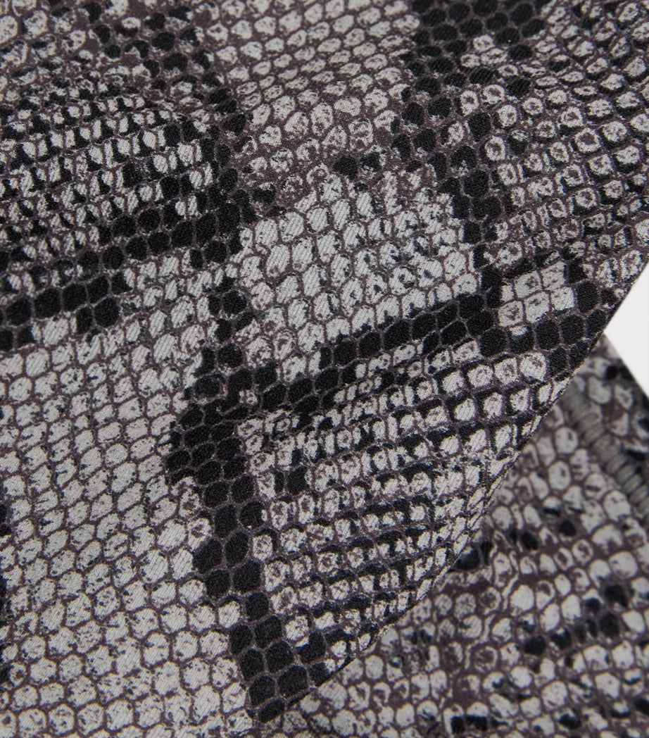 Fits Everybody Snakeskin Print Cheeky Briefs SHADOW SNAKE PRINT Image 4