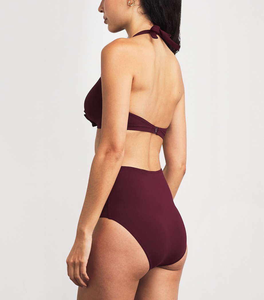 Mister Bikini Bottoms QUETSCHE Image 3