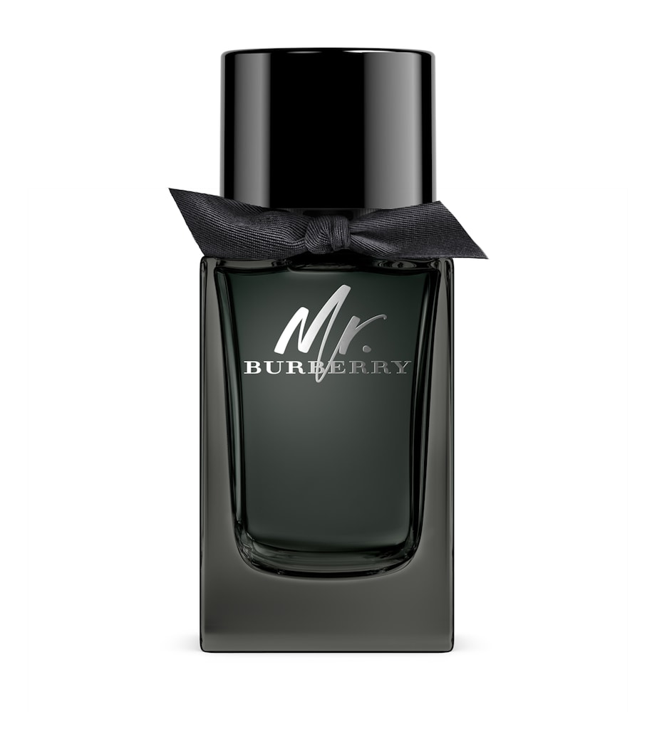 Mr Burberry Indigo Eau de Parfum (100ml) NO COLOUR Image 1