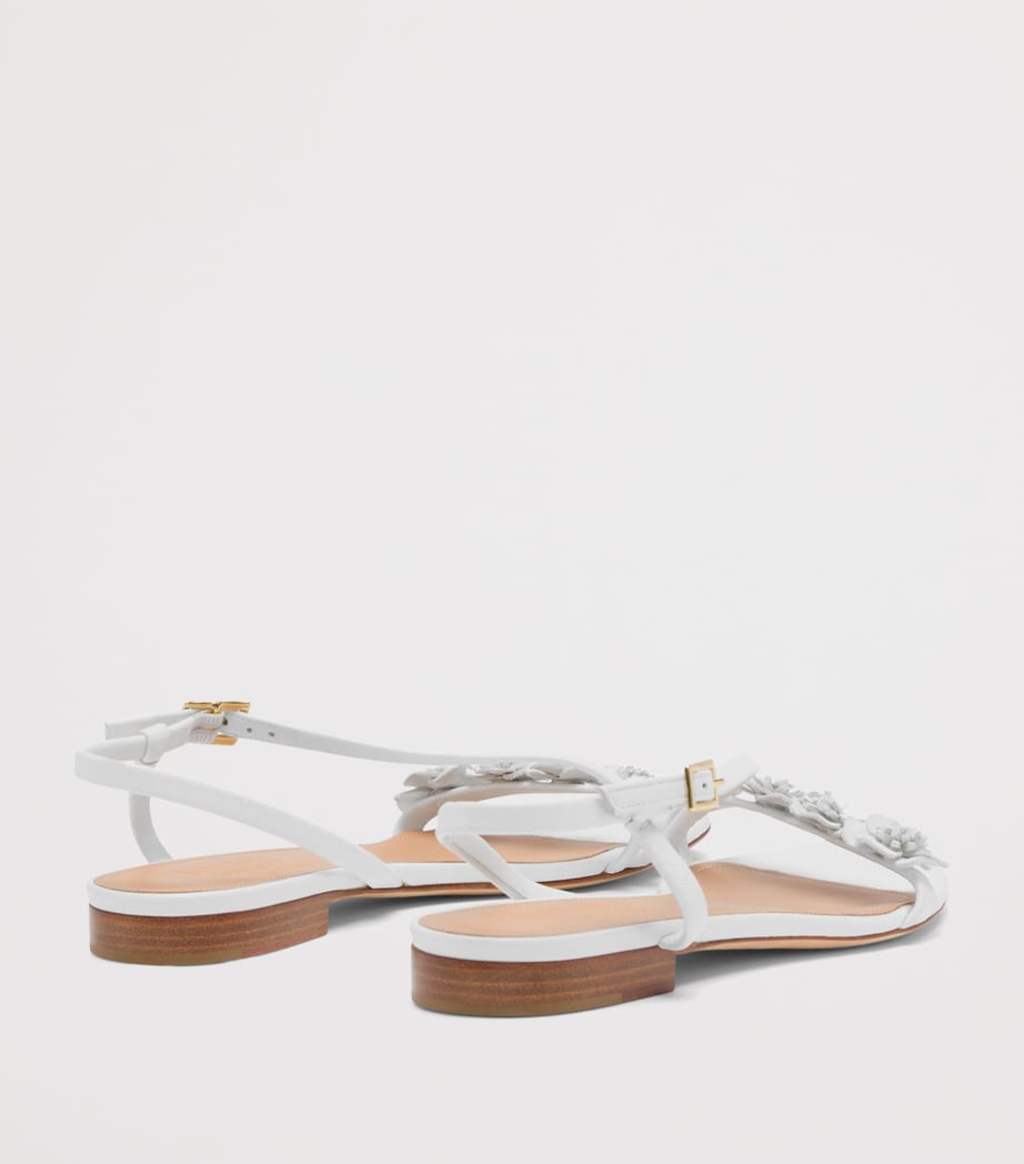 Malone Souliers Leather Flower-Embellished Serra Sandals White Image 4