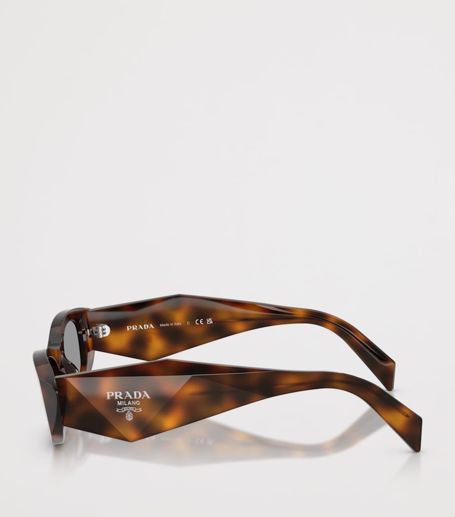 Acetate Oval Sunglasses 20D50Q Image 3