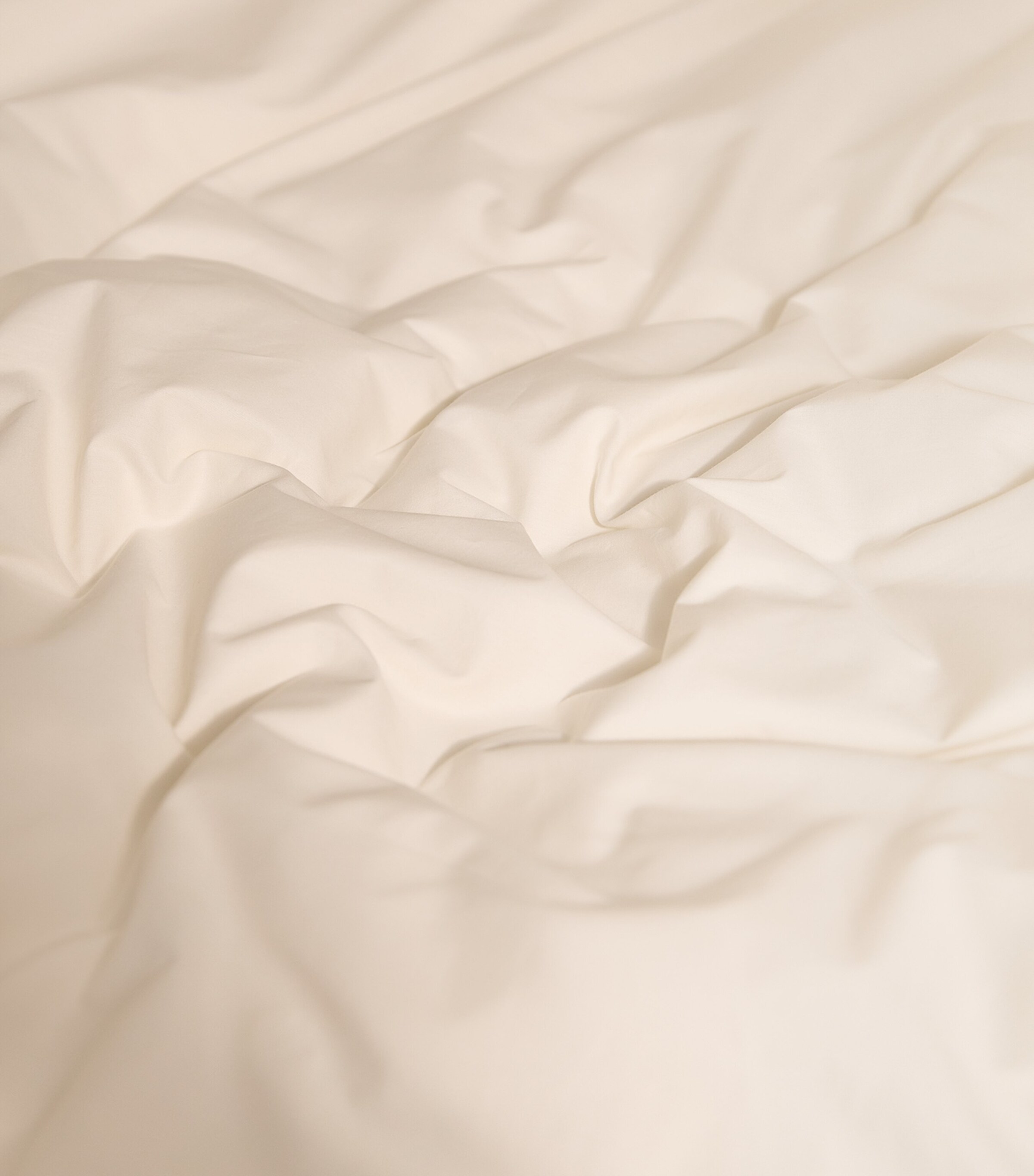 Cadogan Super King Fitted Sheet (180cm x 200cm) IVORY Image 7