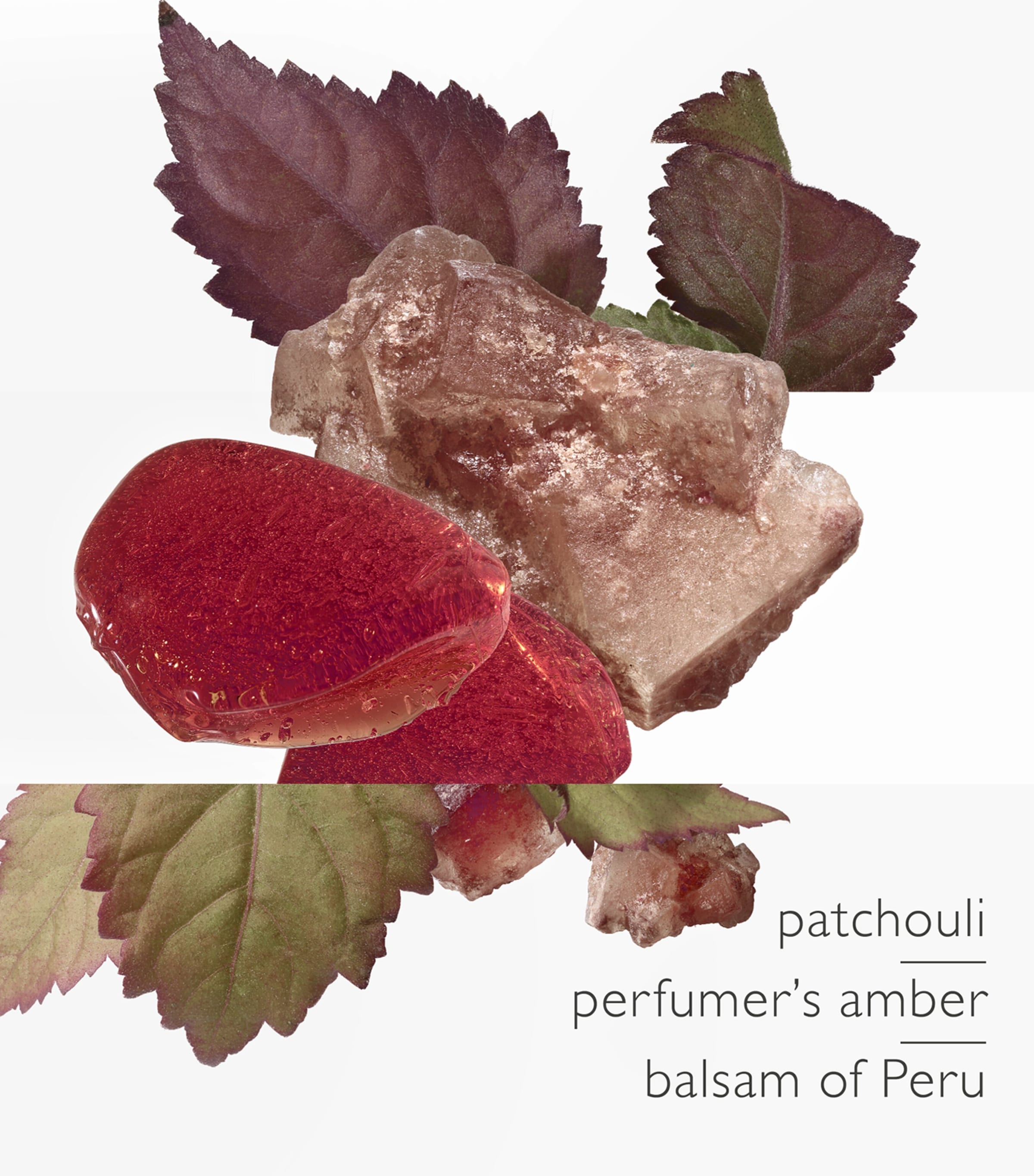 L'Ambre des Merveilles Eau de Parfum (100 ml) NO COLOUR Image 2