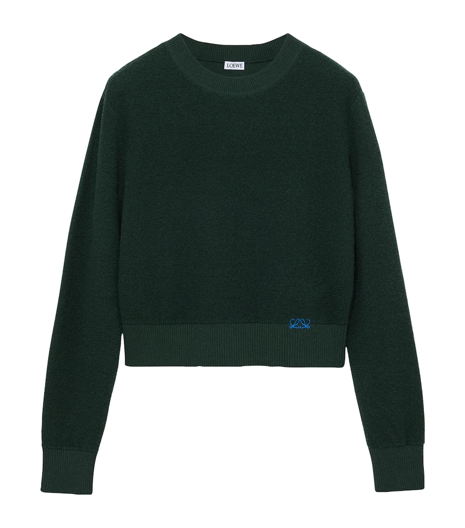 LOEWE Womens Wool-Blend Embroidered Sweater Dark Green Image 1
