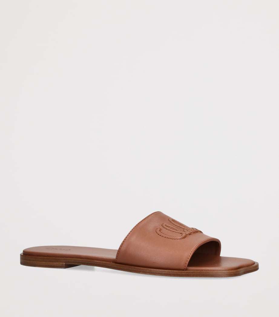 Leather Soleil Flat Sandals BROWN Image 3