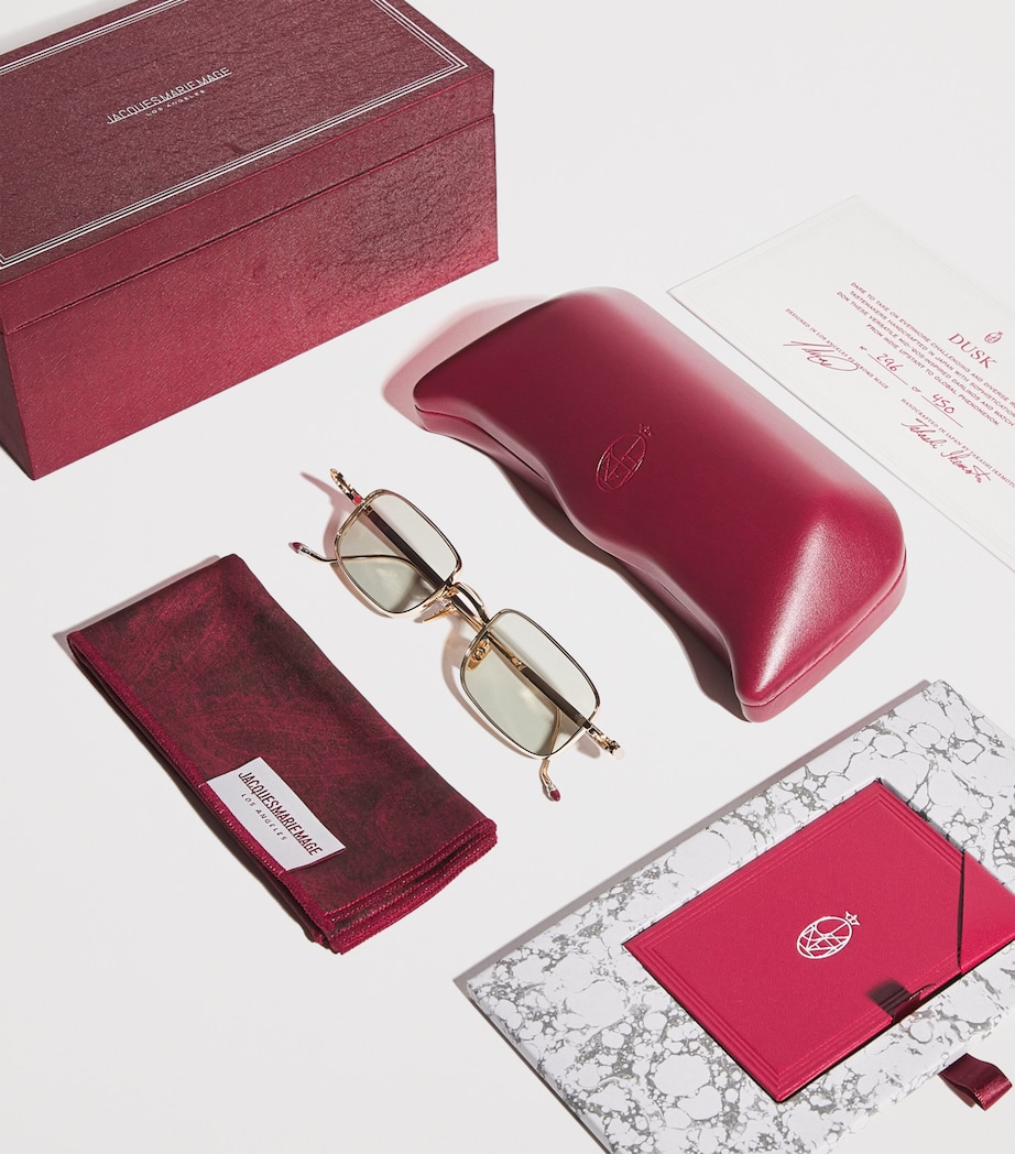 Titanium Dusk Sunglasses 54-ALTAN Image 5