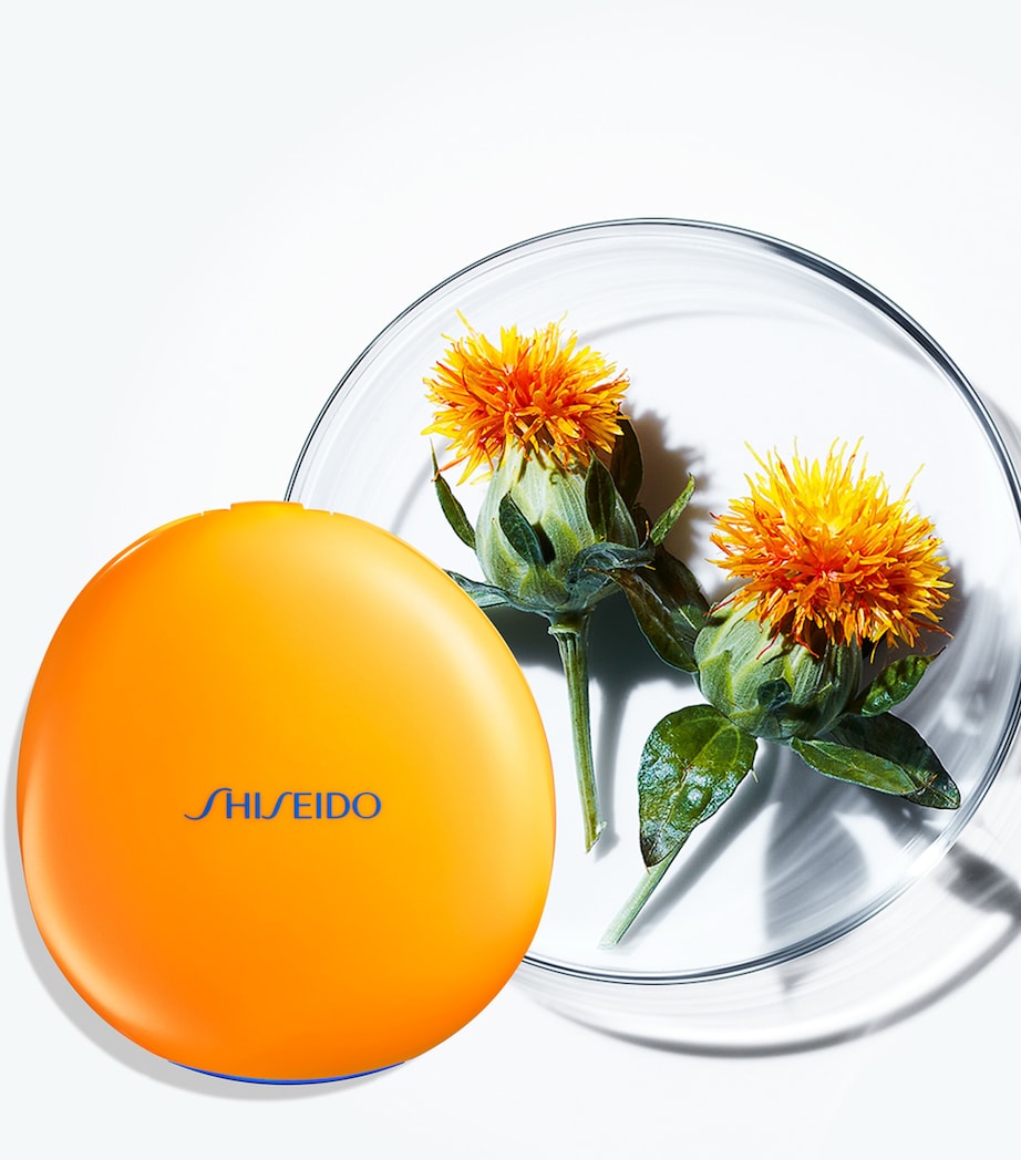 Tanning Compact Foundation SPF10 Refill NA Image 5