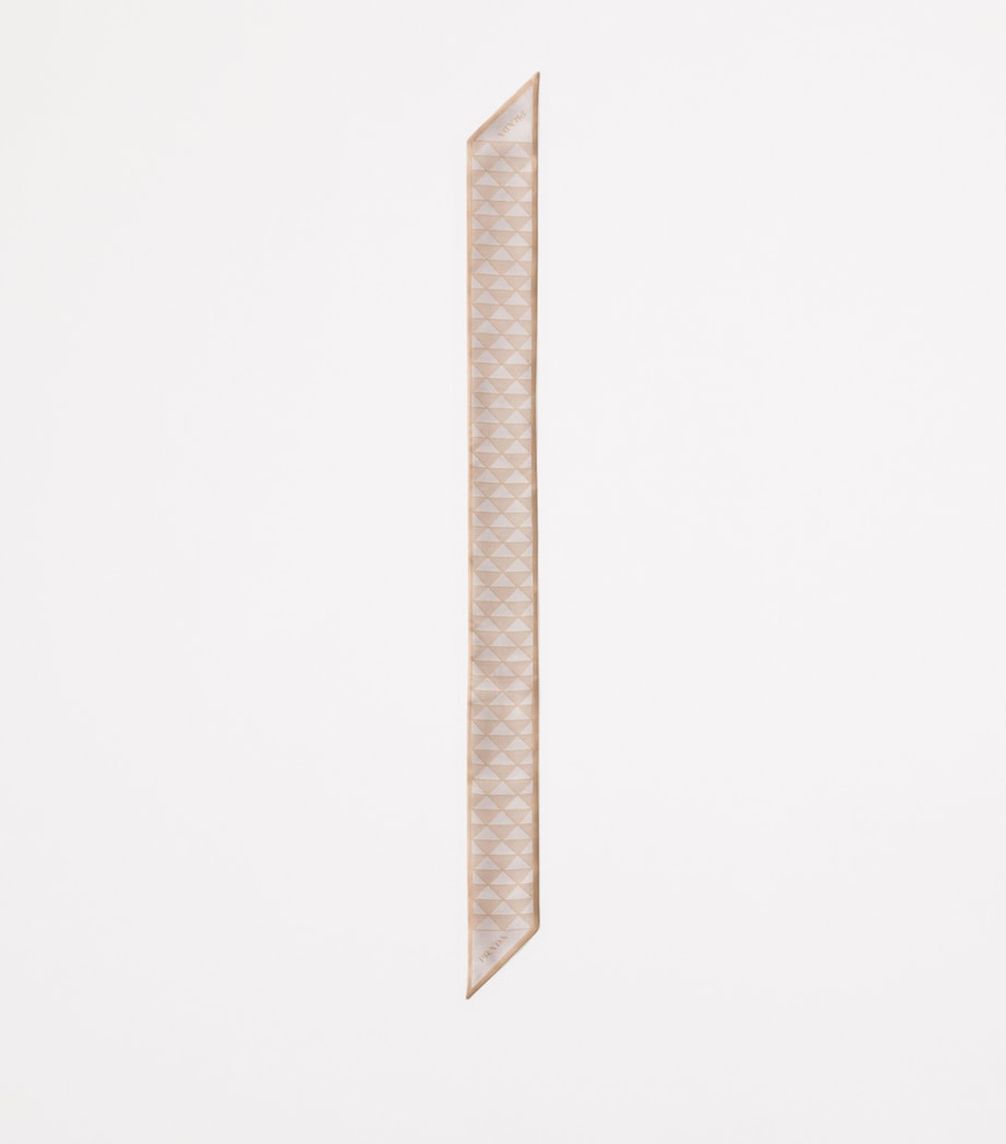 Silk Triangle Skinny Scarf F045Y Image 2