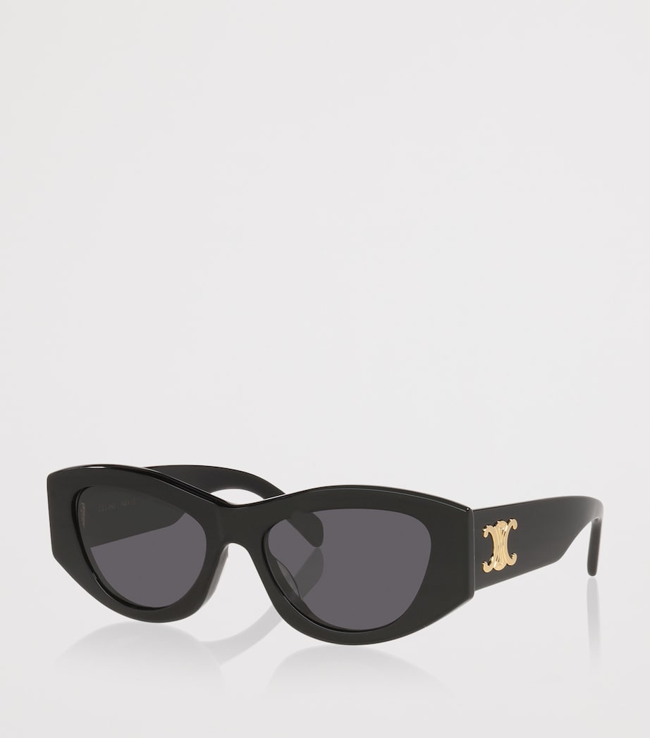 Celine Triomphe Sunglasses Image 2
