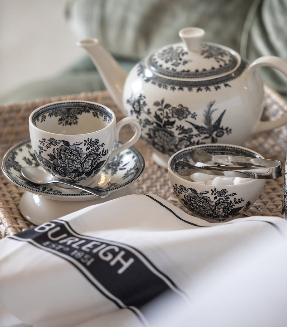 Asiatic Pheasants Teacup and Saucer BLACK & WHITE Image 2
