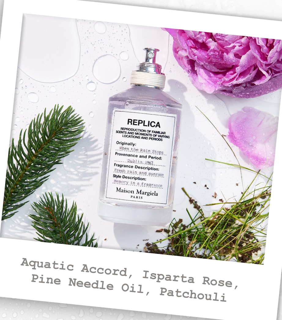 When the Rain Stops Eau de Toilette (30-100ml) NO COLOUR Image 3