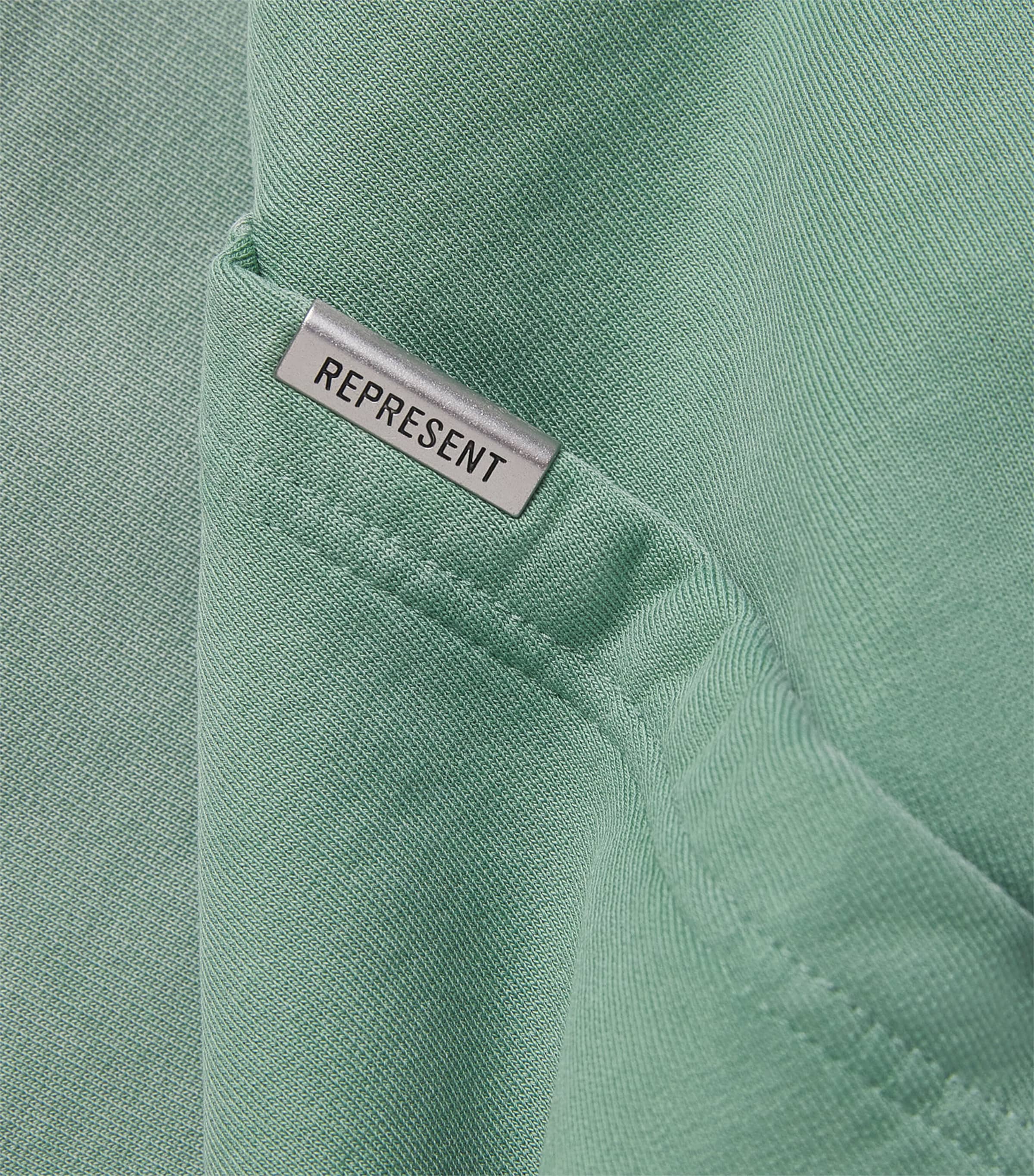 Represent Mens Owners Club Hoodie Washed Aloe Image 6