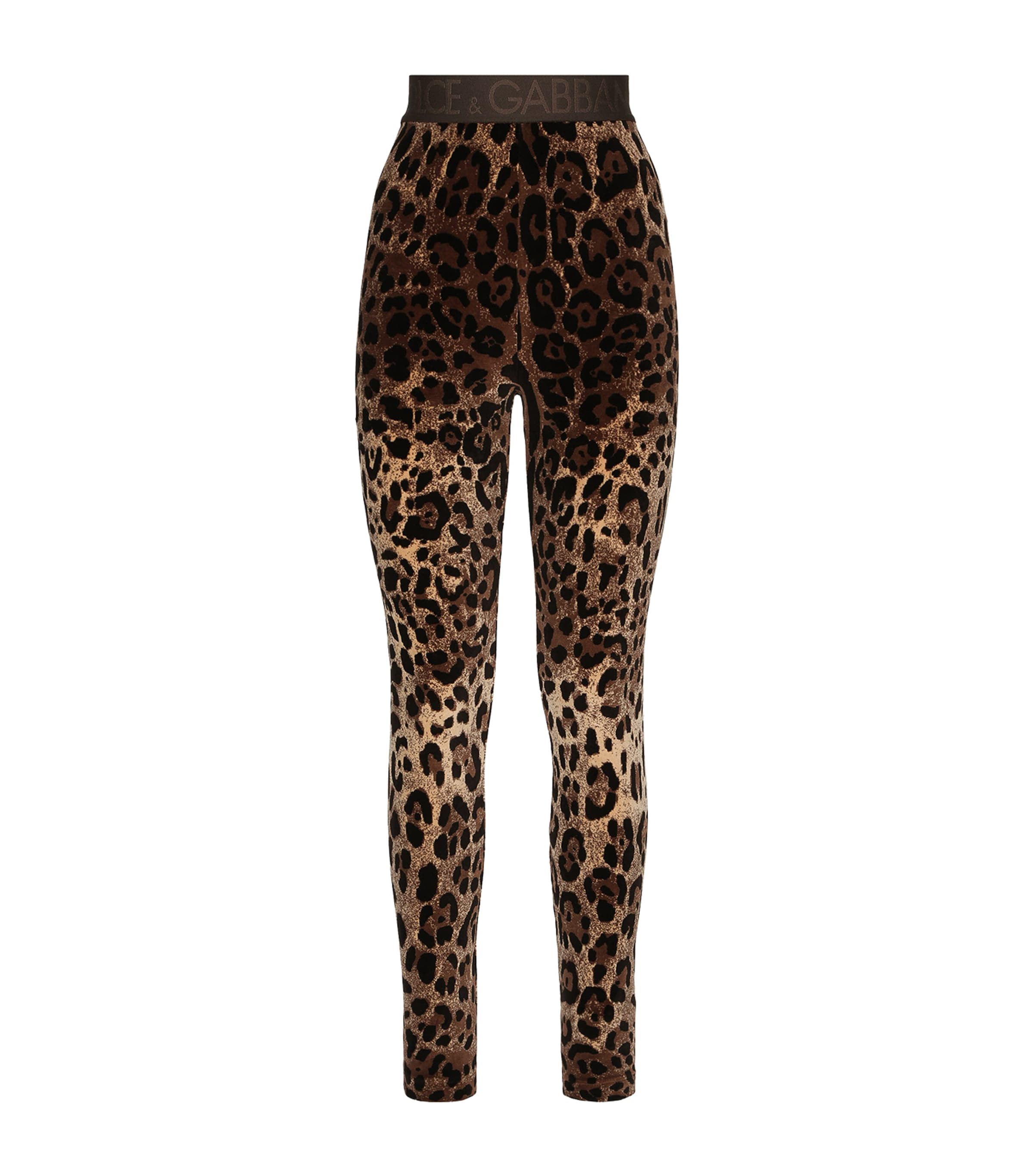 Shop Dolce & Gabbana Velvet Leopard Print Leggings