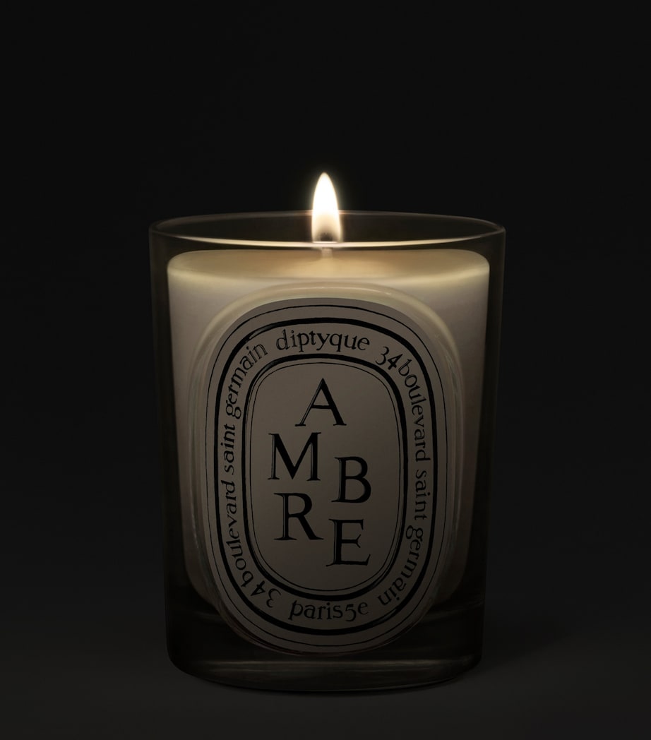 Diptyque Ambre Candle (190g) Image 2